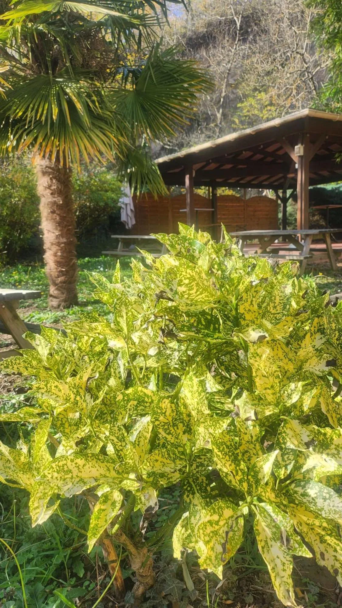 Logis Hôtel La Cascade - Lyon Nord