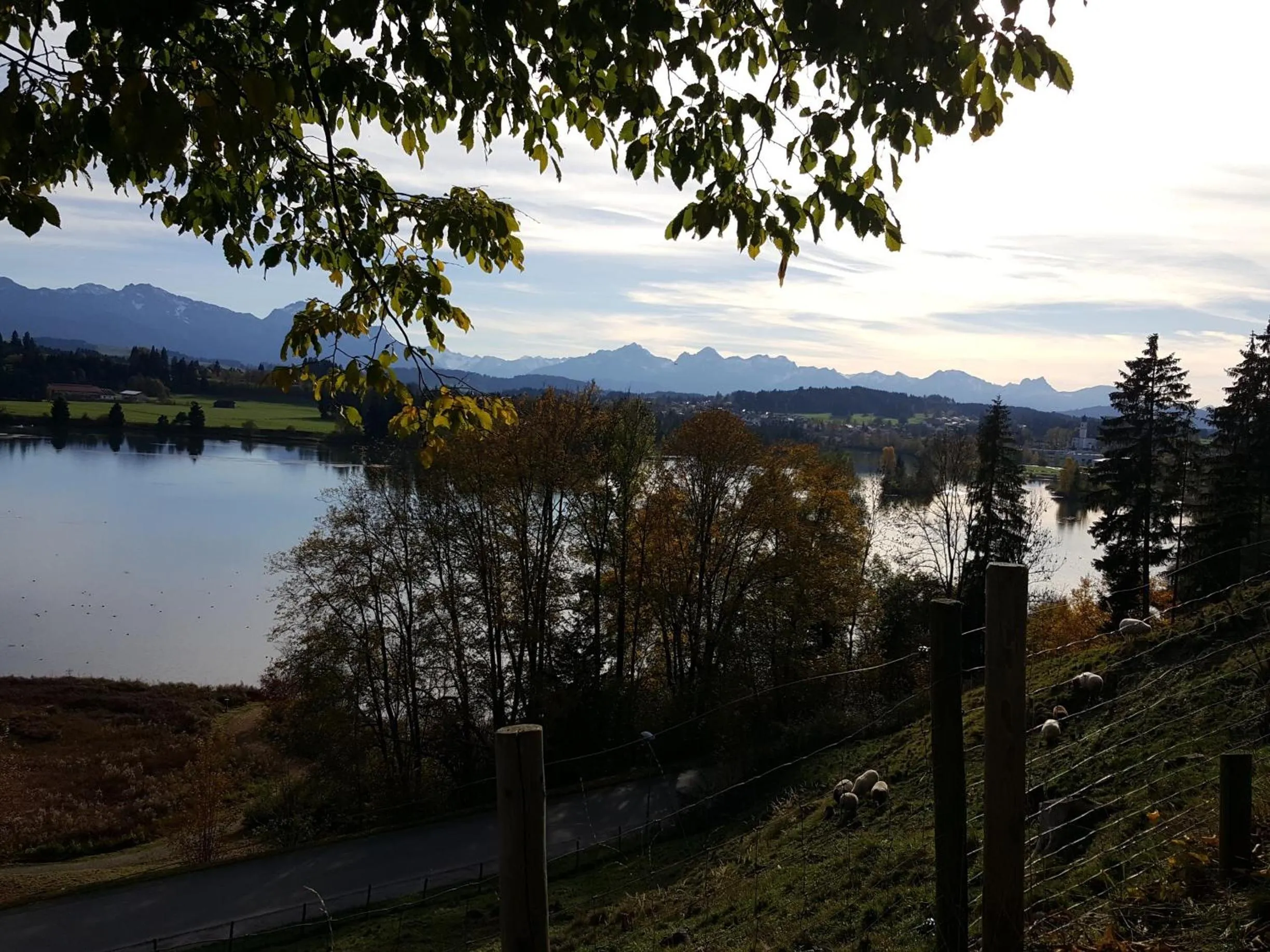 View (from property/room) in Ferienhaus Gerhard