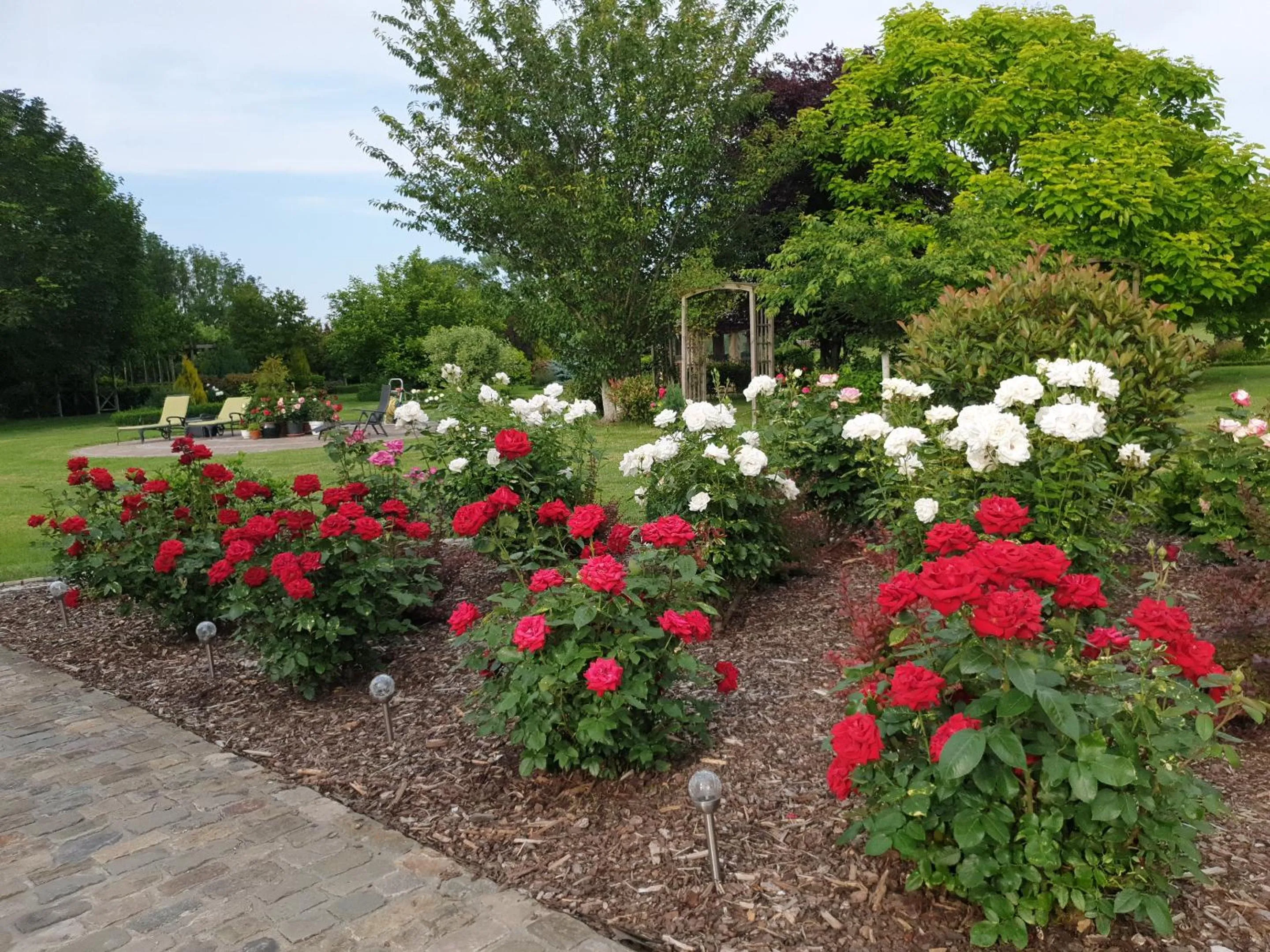 Garden in B&B Secret Garden Adults only