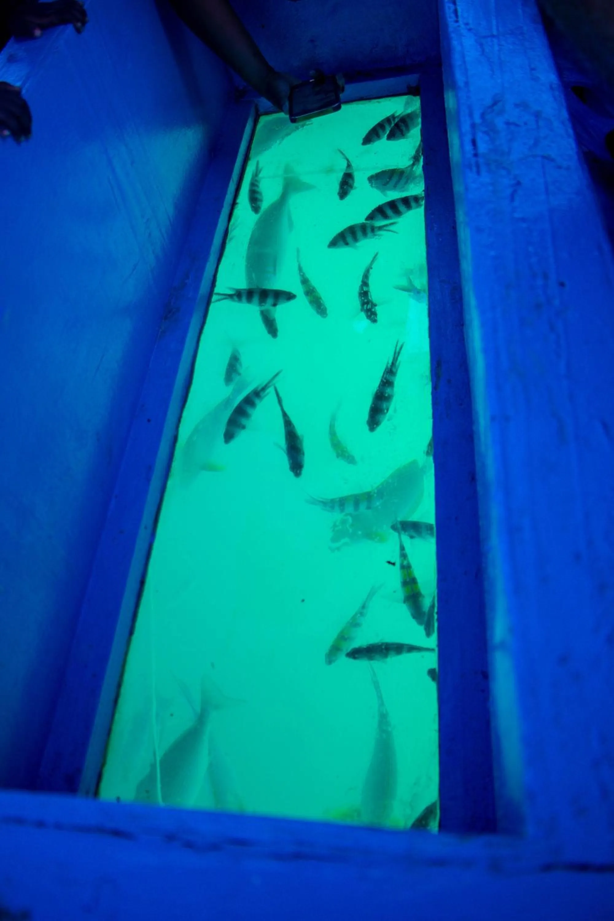 Beach in Nightingale Apartments Hotel Mombasa