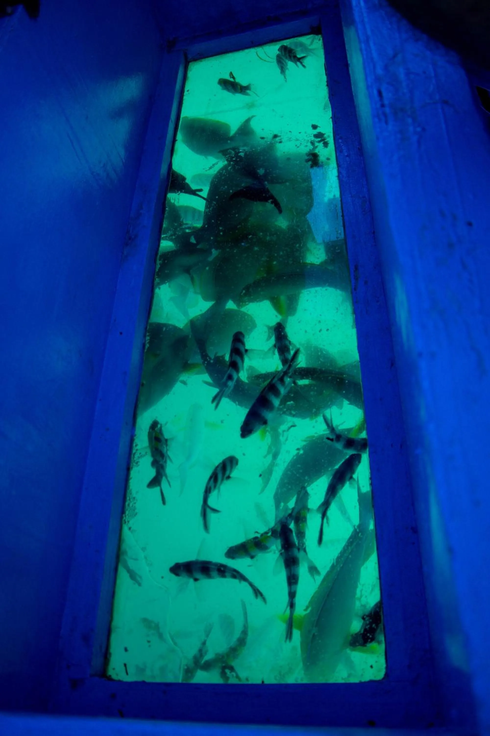 Beach in Nightingale Apartments Hotel Mombasa