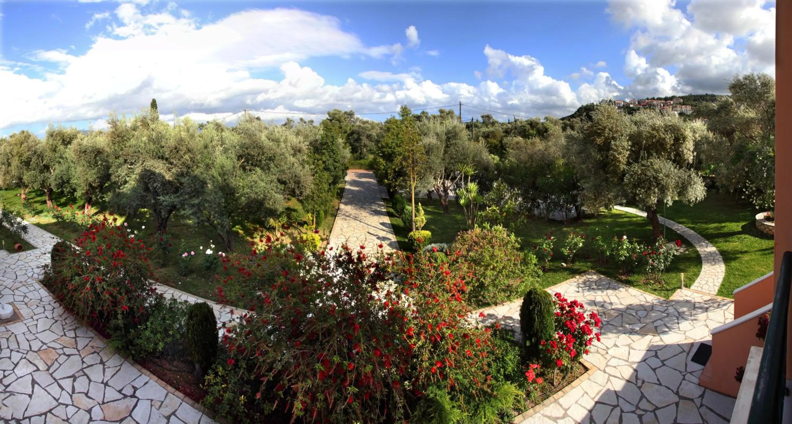 Garden in Anthias Garden