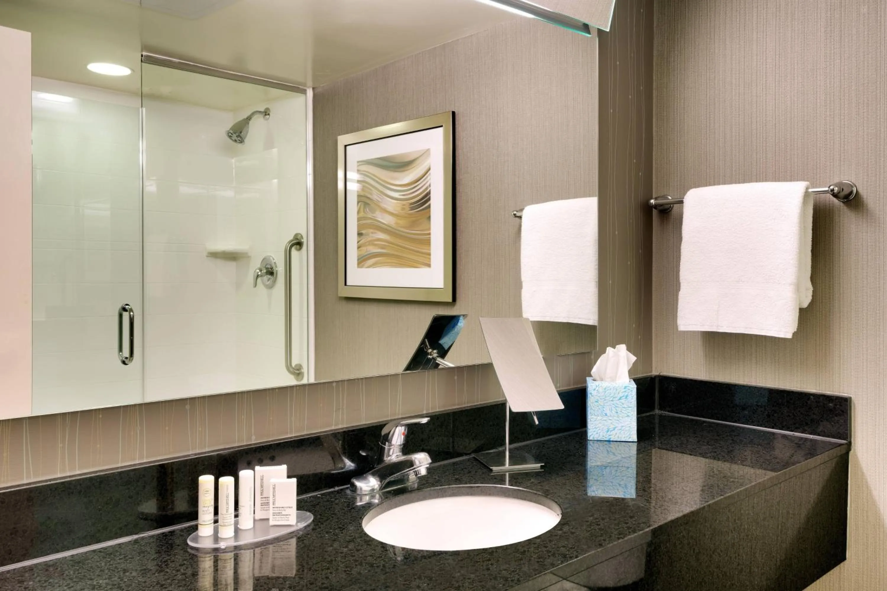 Bathroom in Courtyard by Marriott Charlotte Airport LoSo