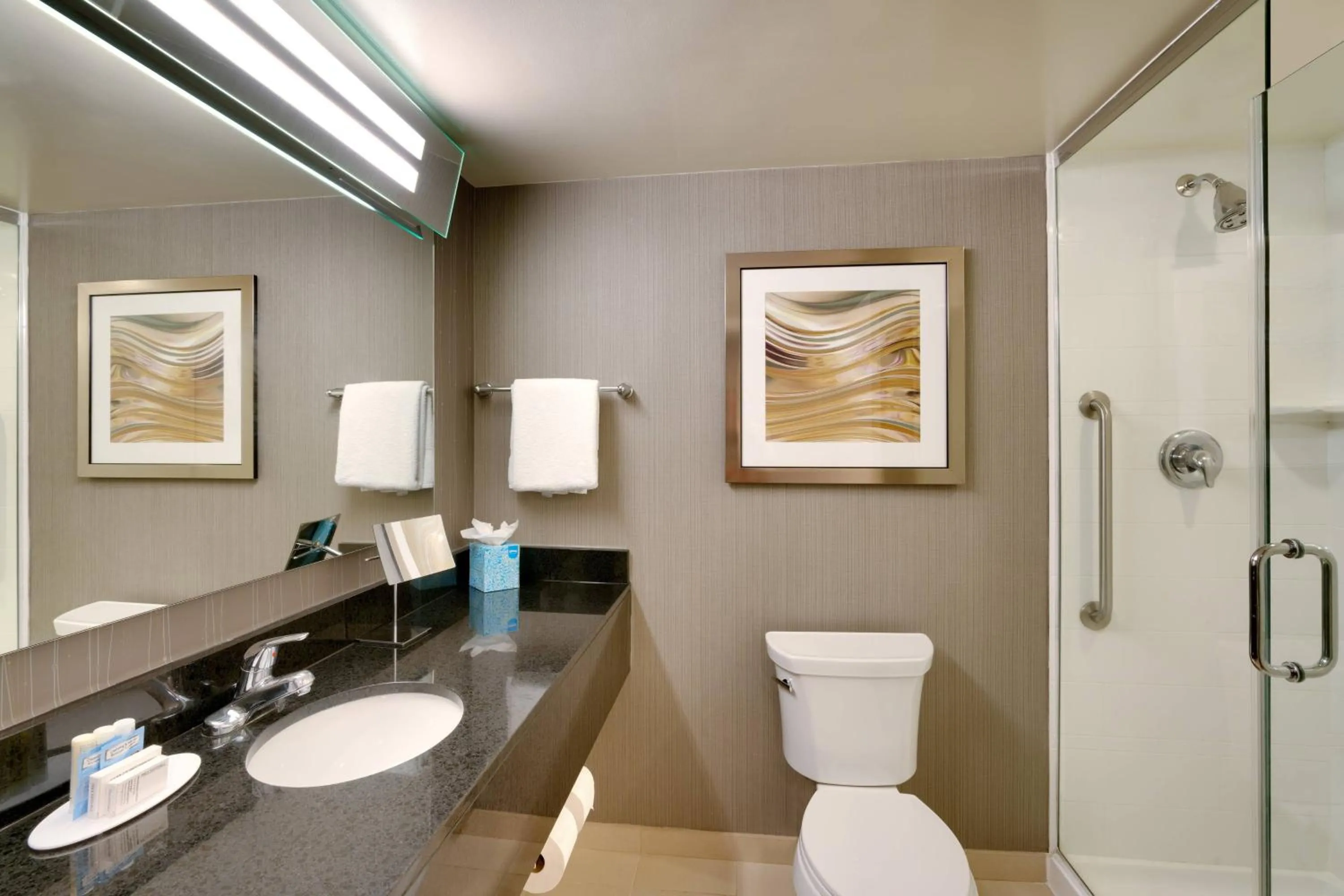 Bathroom in Courtyard by Marriott Charlotte Airport LoSo