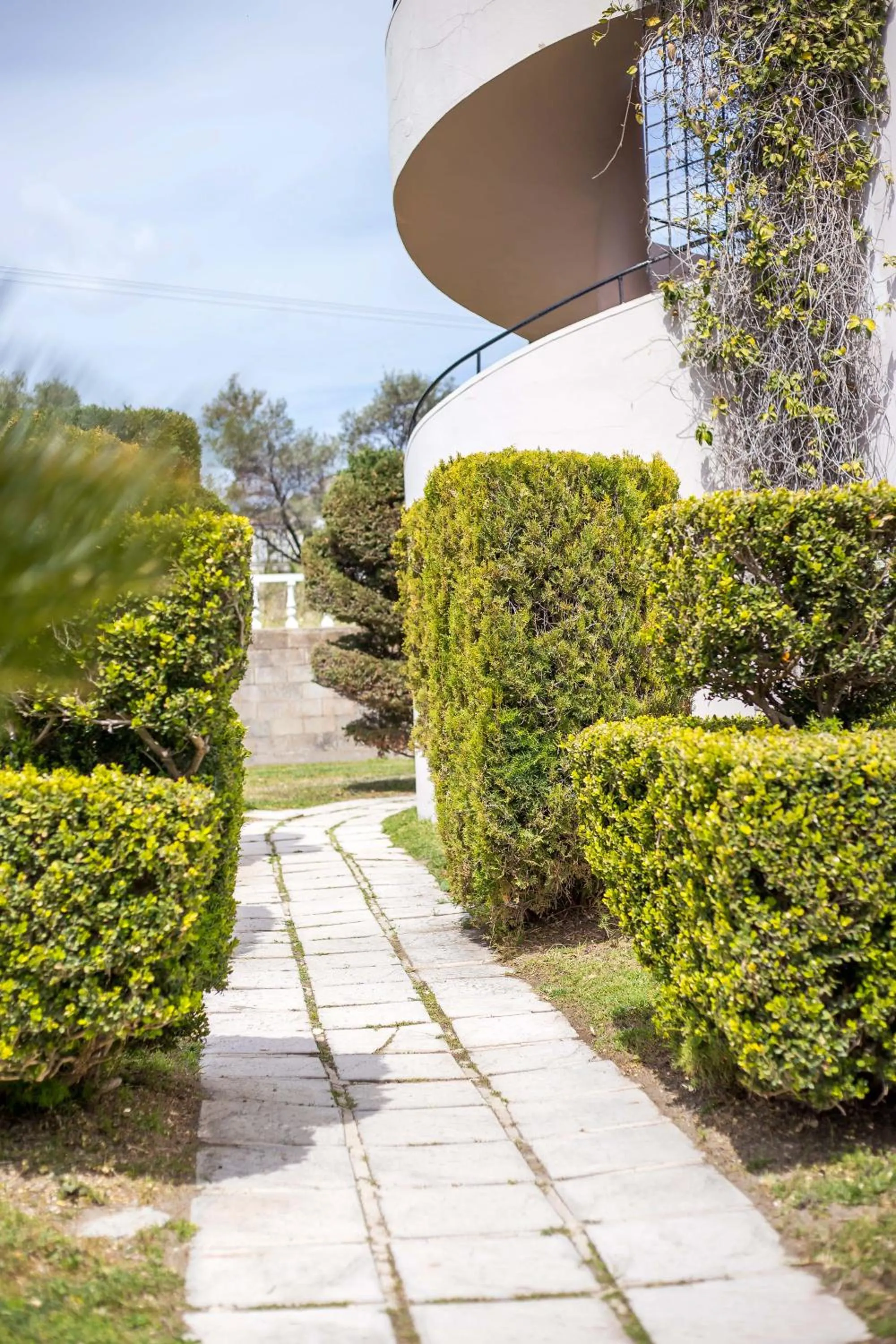 Garden in Jimmy’s Garden