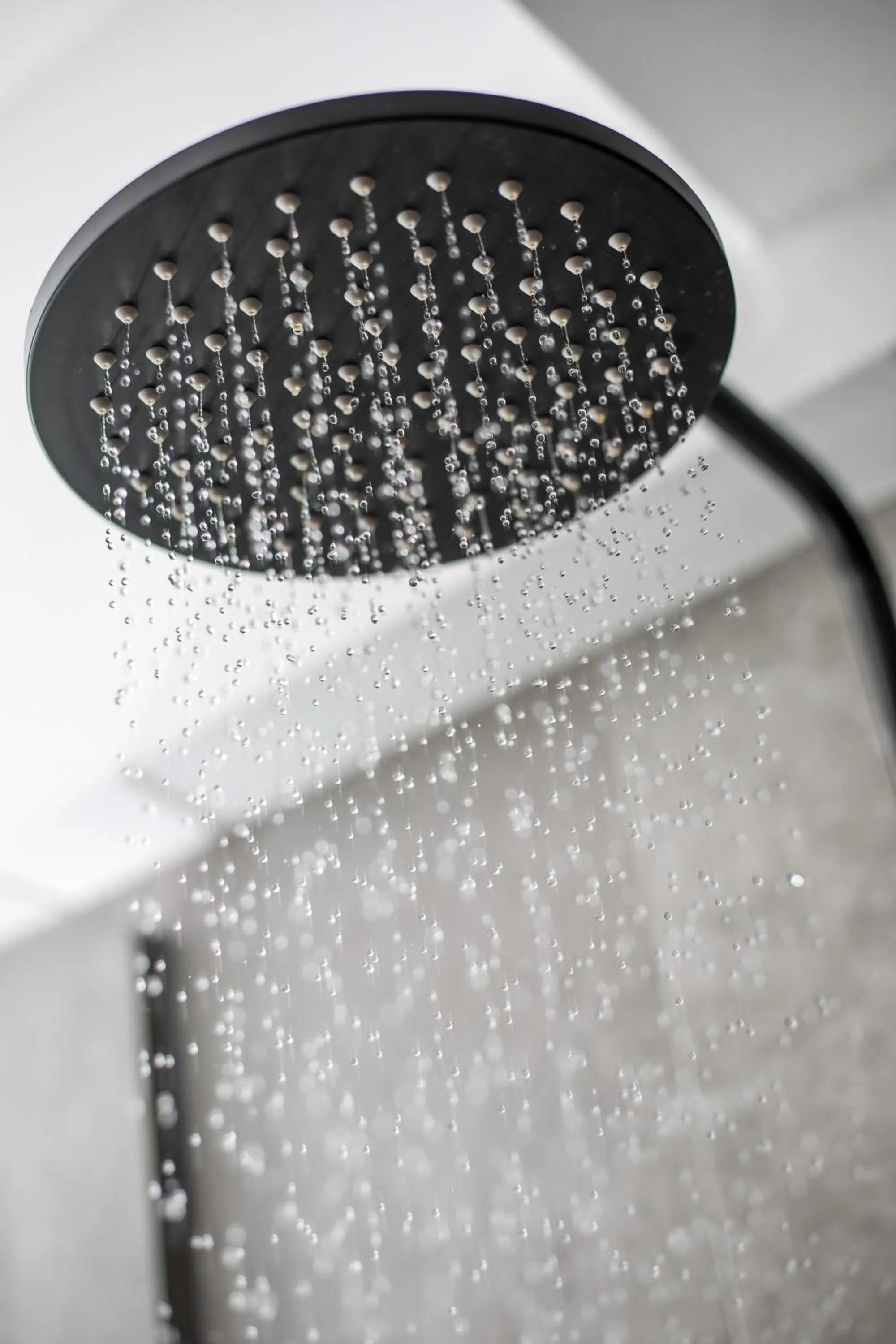 Shower in Jimmy’s Garden