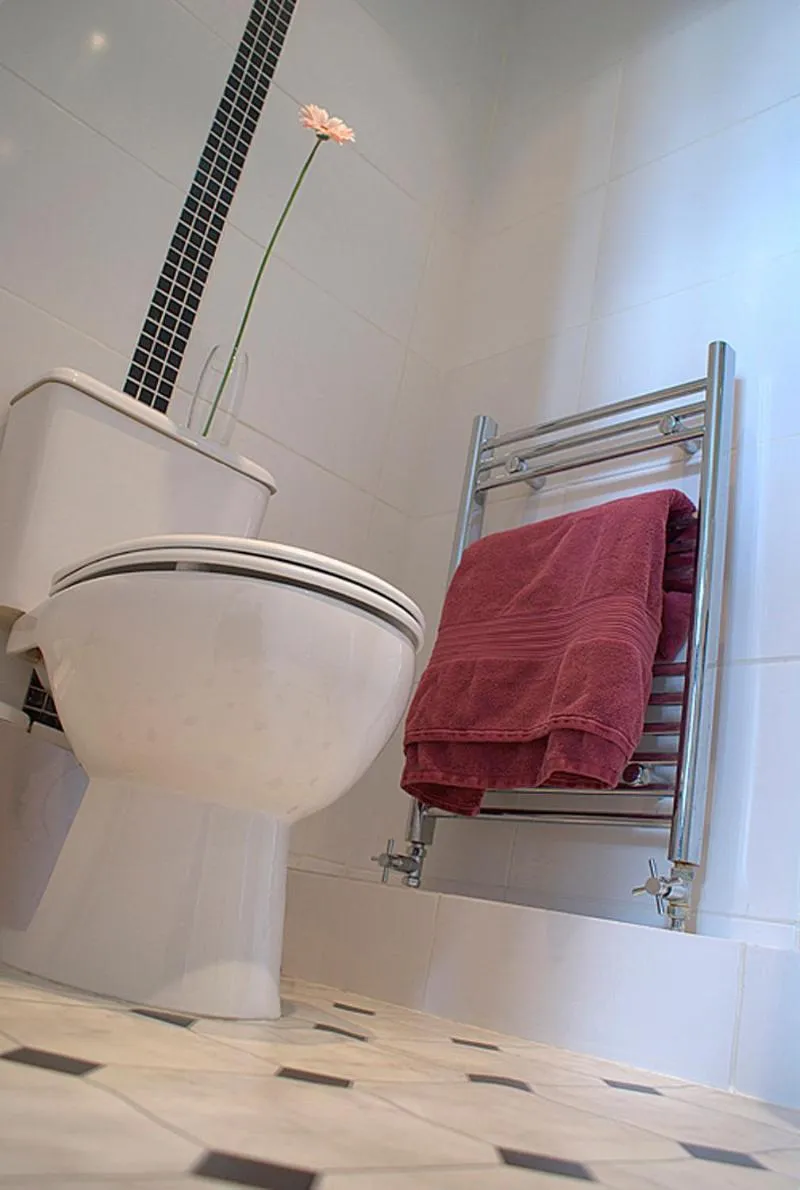 Toilet in George & Dragon