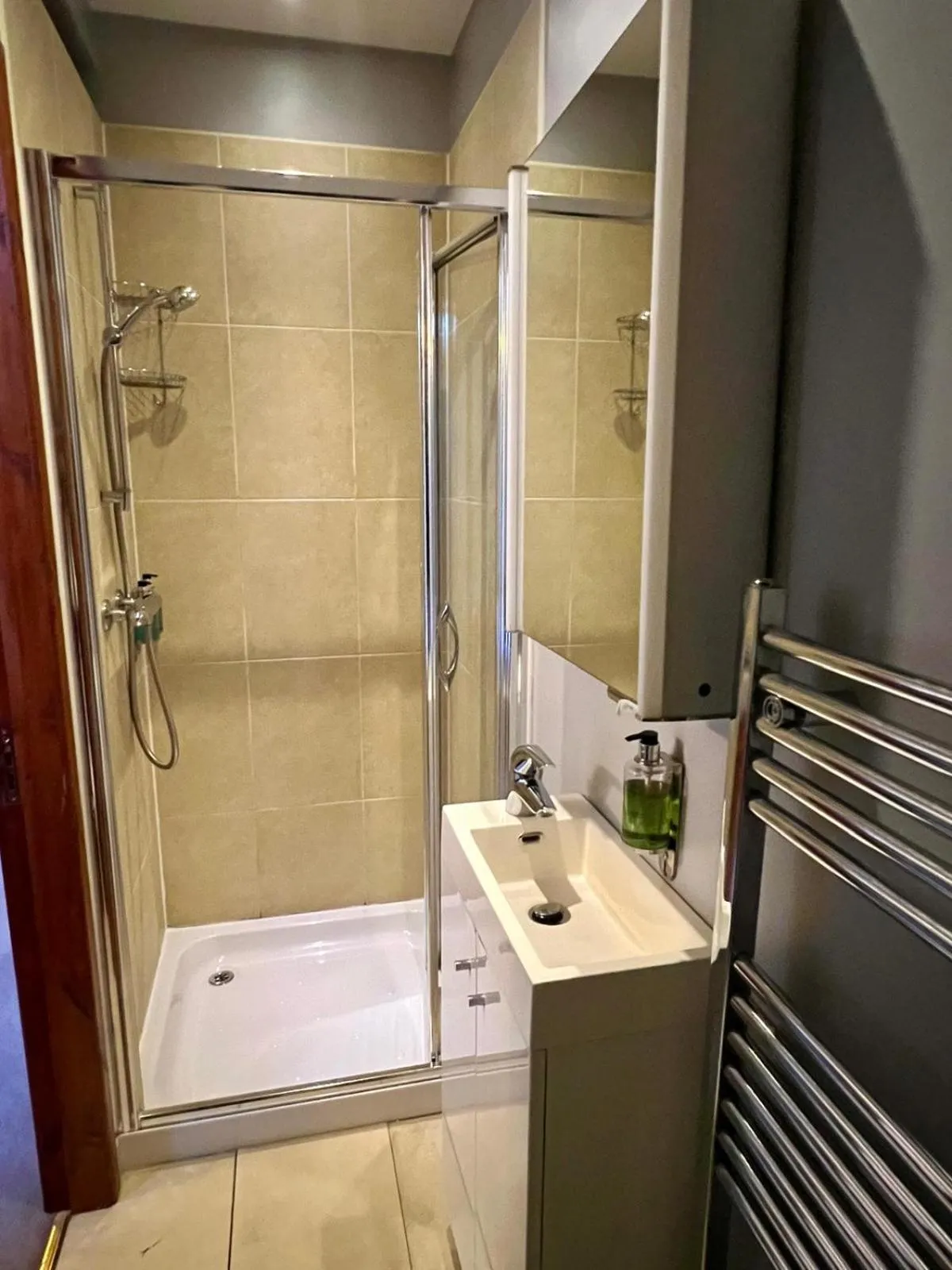 Shower in Dolgun Uchaf Historic B&B and Cottages in Snowdonia