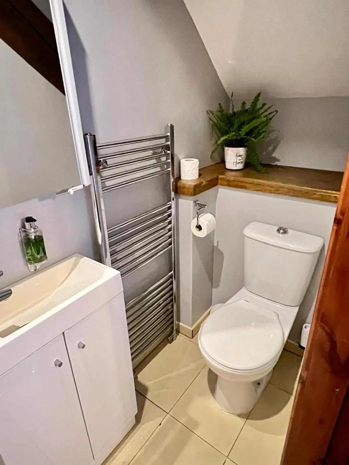 Shower in Dolgun Uchaf Historic B&B and Cottages in Snowdonia