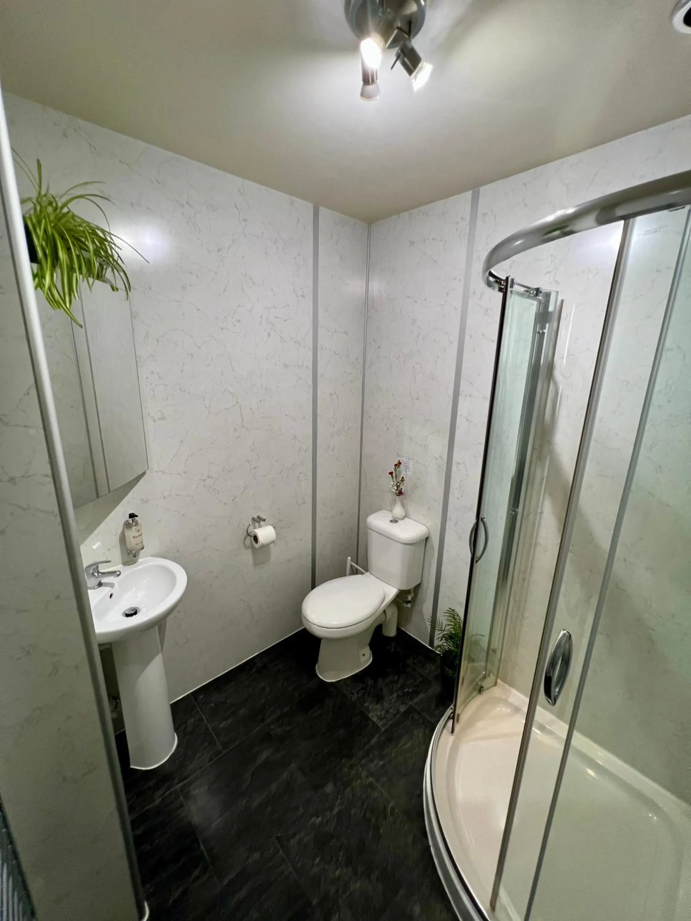 Shower in Dolgun Uchaf Historic B&B and Cottages in Snowdonia