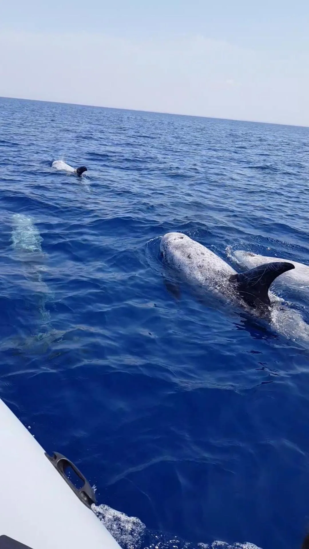 Natural landscape in Casa Mita