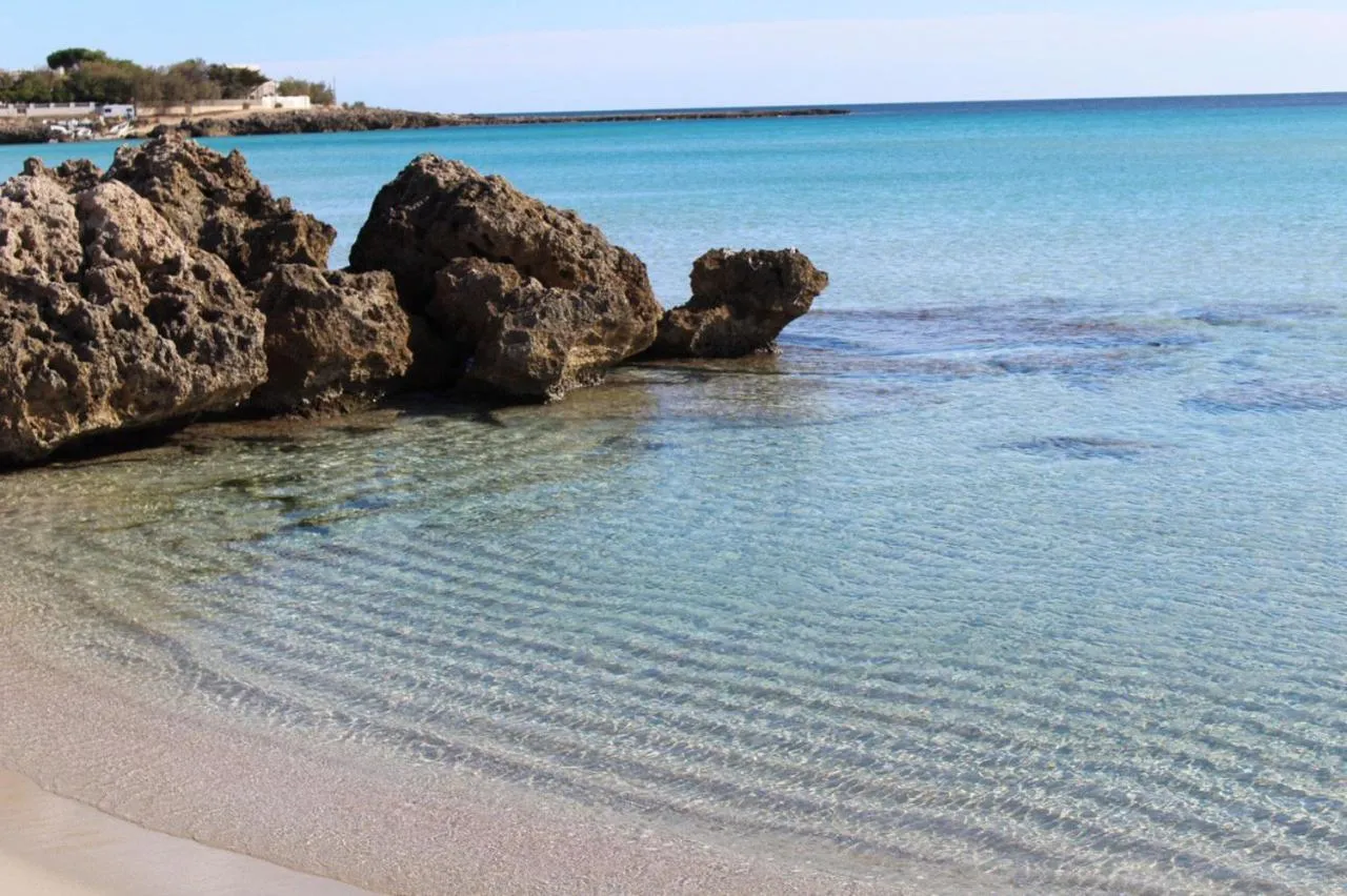 Natural landscape in Casa Mita