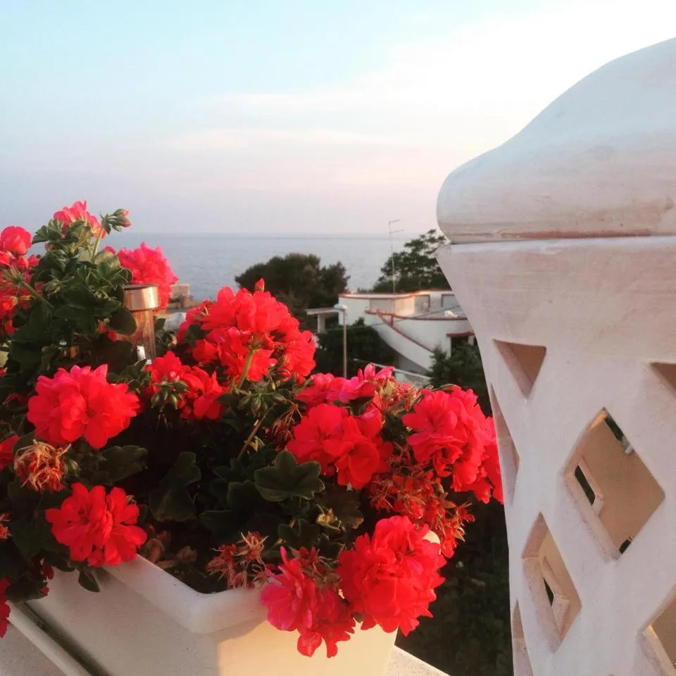 Balcony/Terrace in Casa Mita