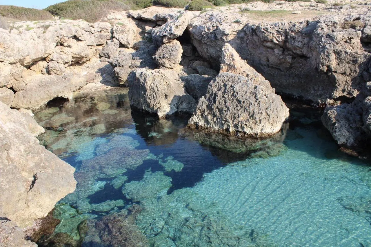 Natural landscape in Casa Mita