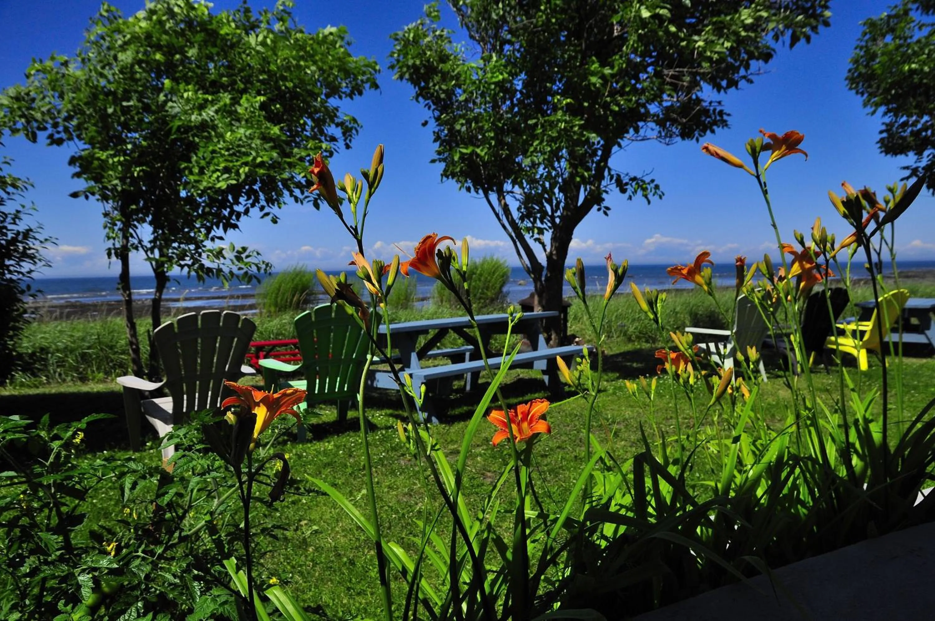 Garden in Motel Appartements le Saint-Patrick