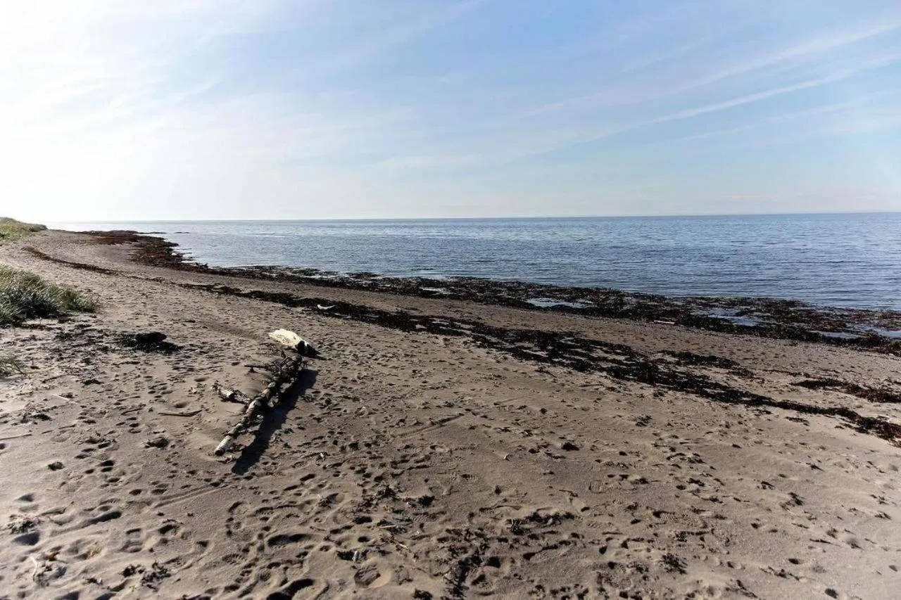 Beach in Motel Appartements le Saint-Patrick