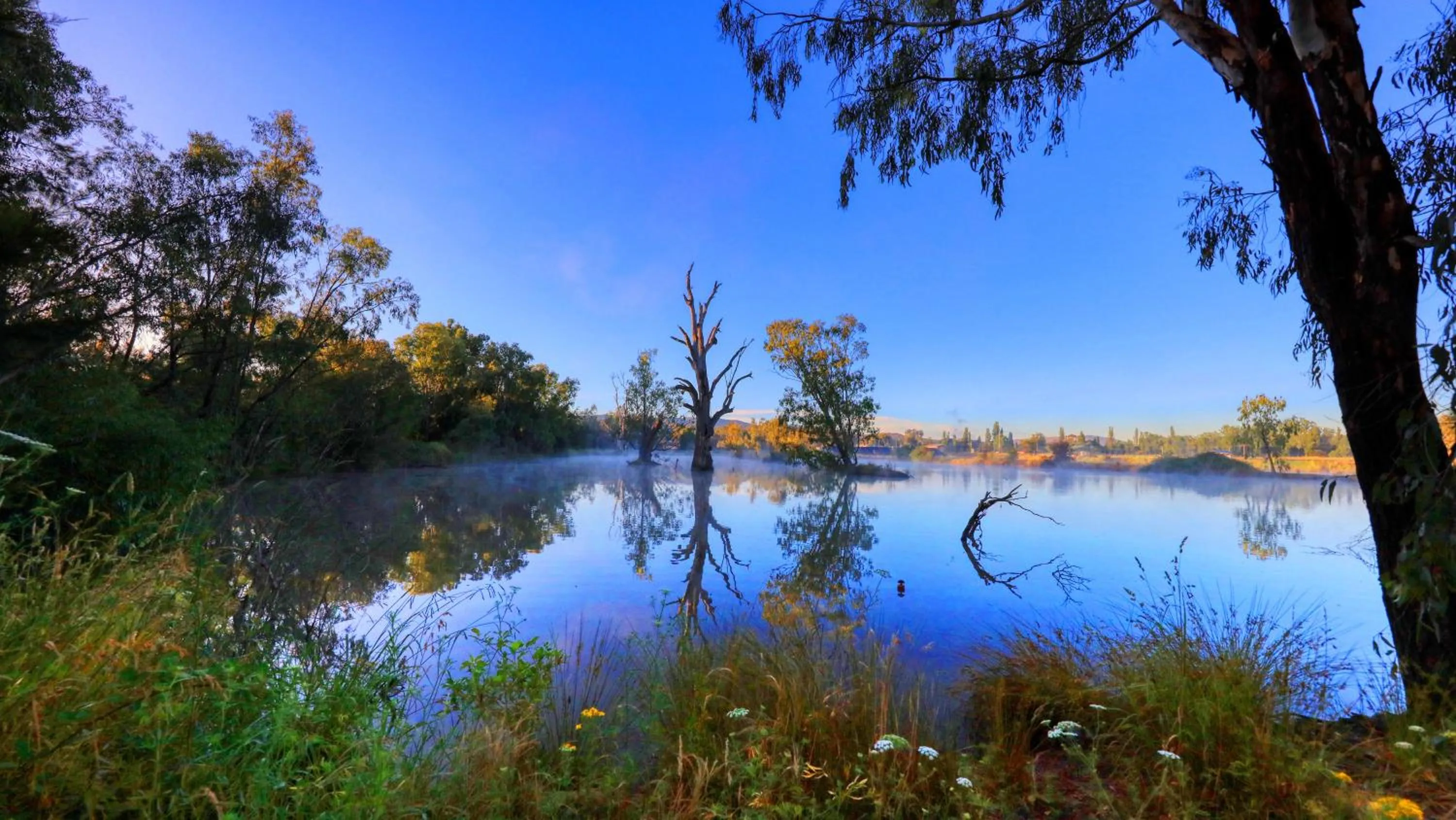 Natural landscape in Ashton Motel