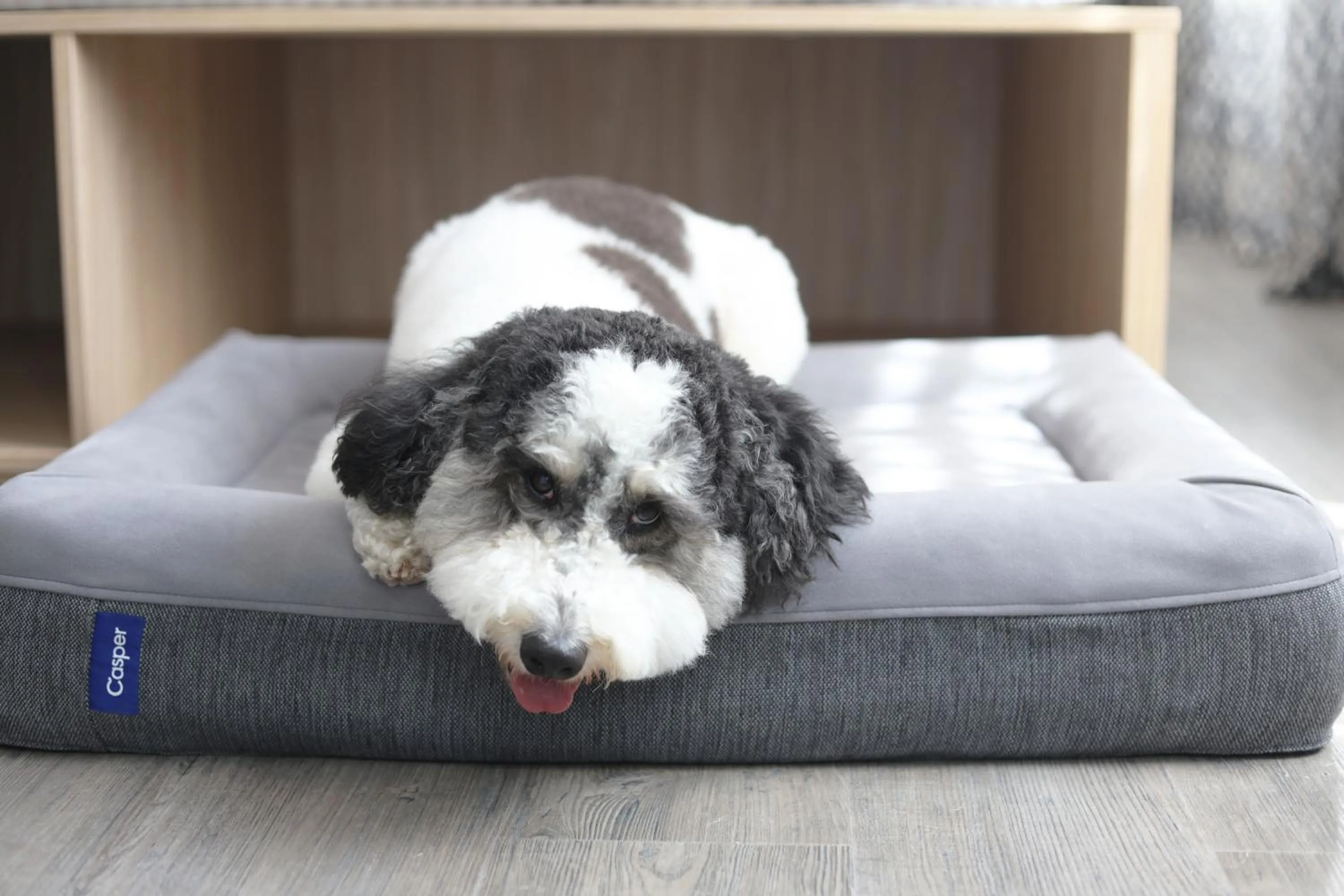 Pets in Inhabit Southwick Street, a Member of Design Hotels