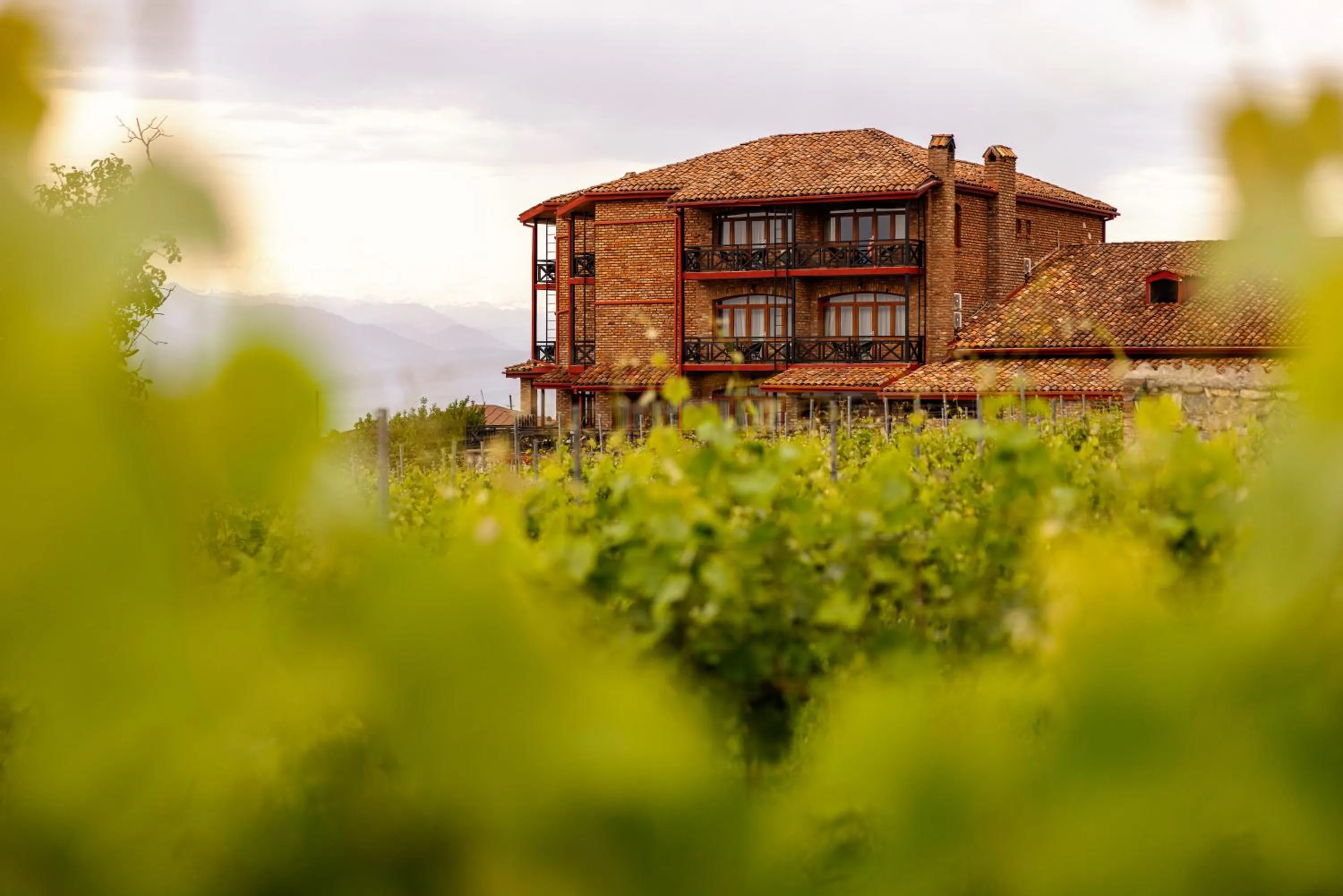 Property building in Schuchmann Wines Château,Villas & SPA