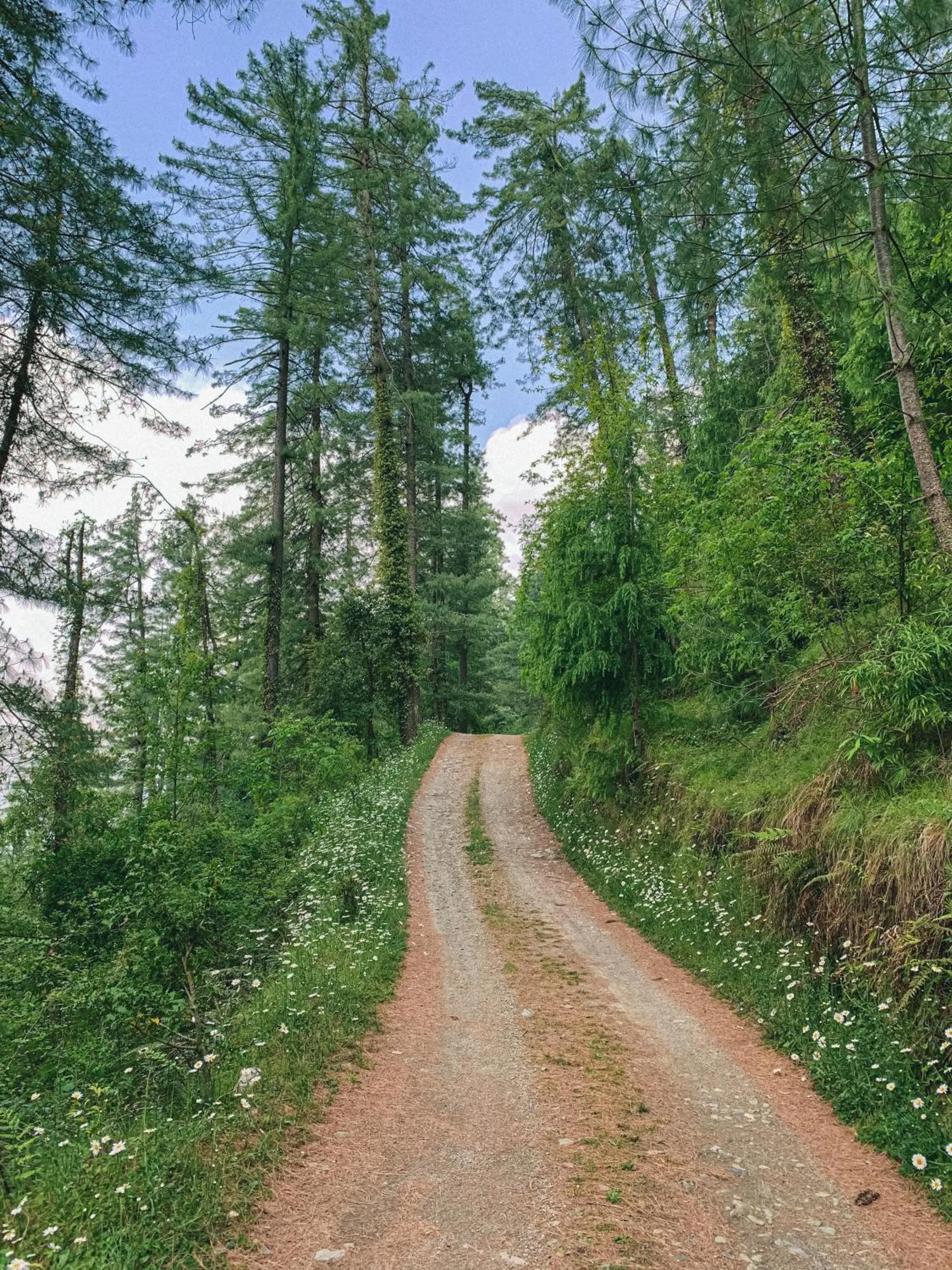 Natural landscape in The Nilaya