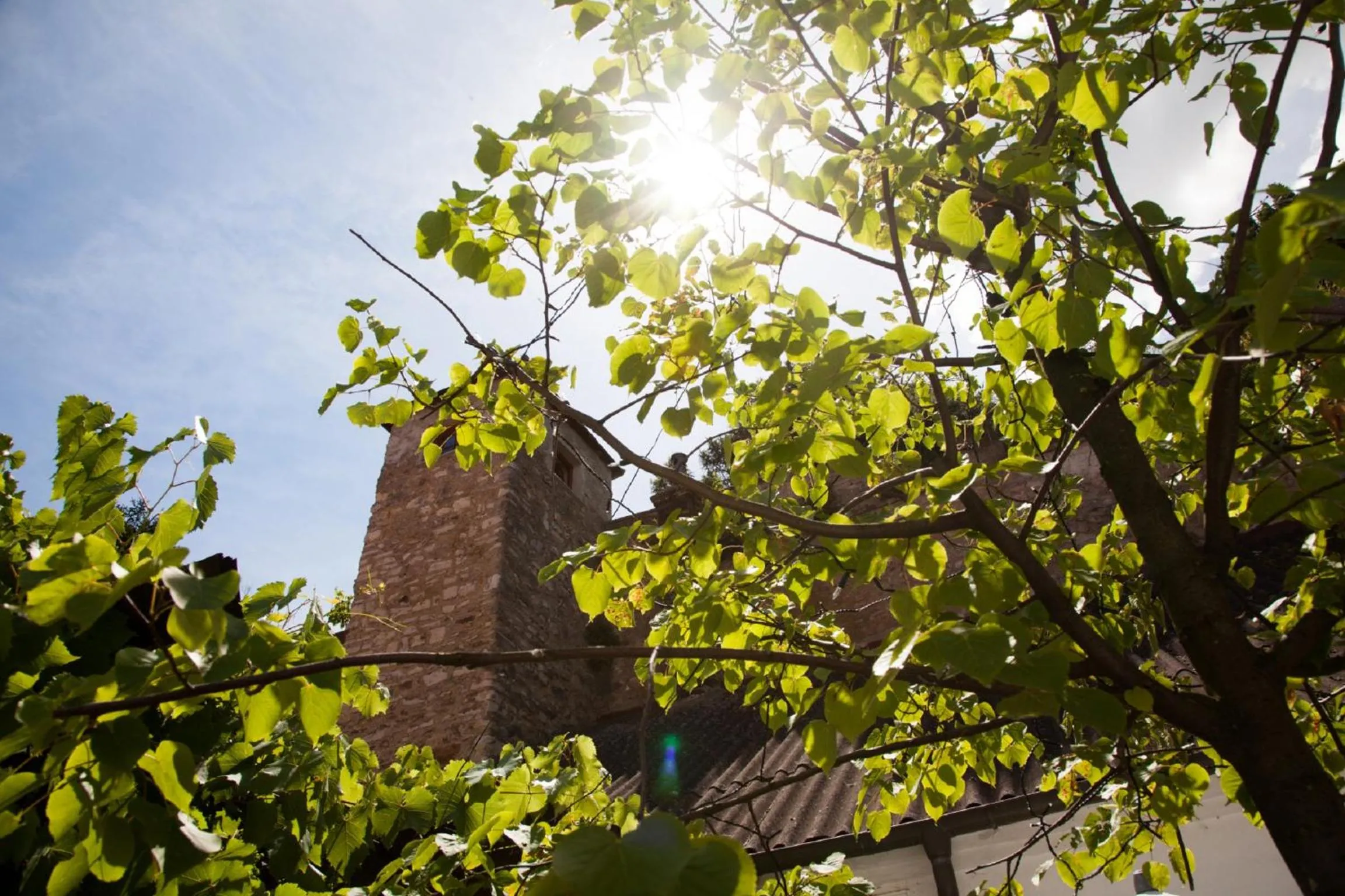 Nearby landmark in Gasthof zum Goldenen Anker
