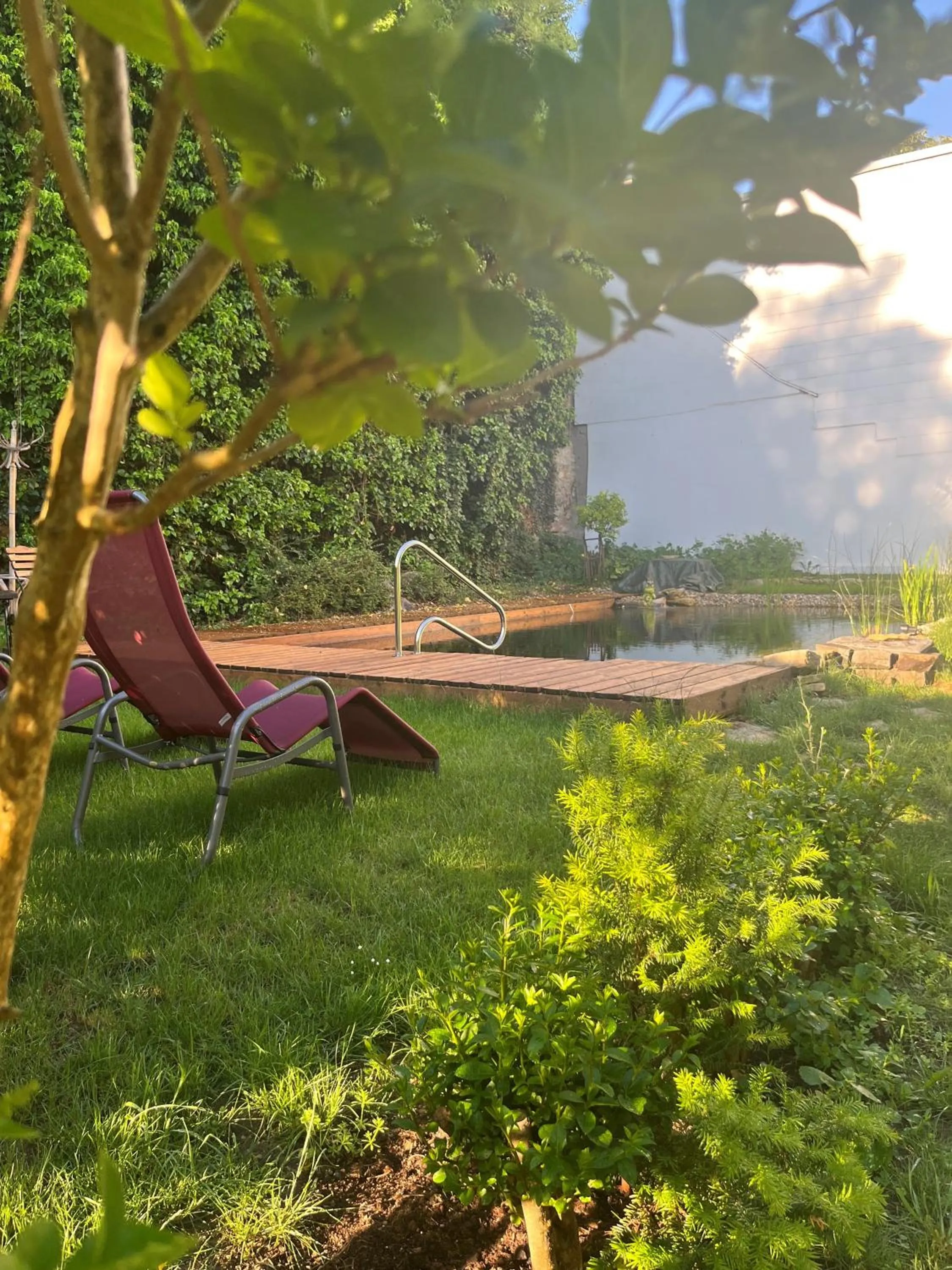 Swimming pool in Gasthof zum Goldenen Anker