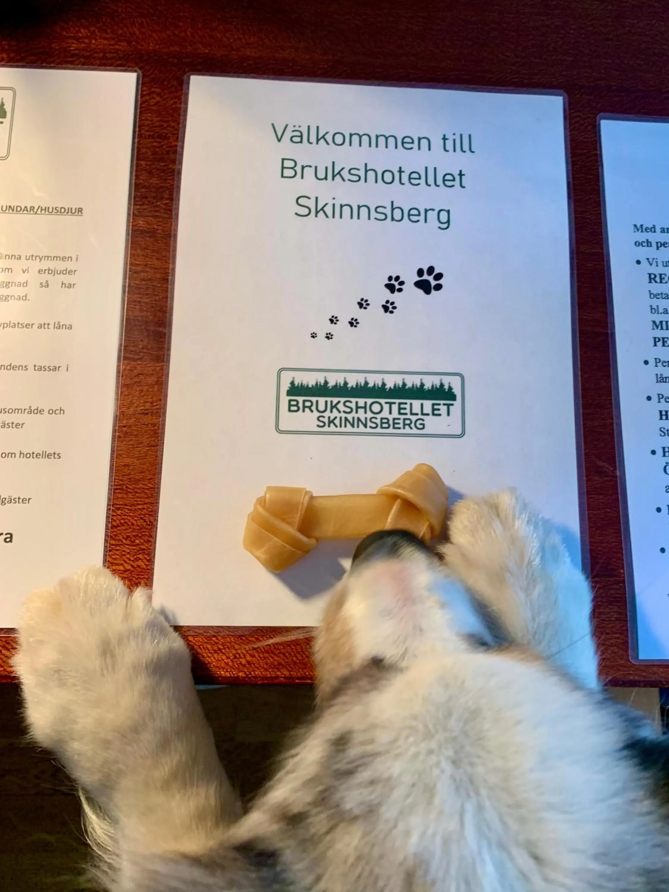 pet friendly in Brukshotellet Skinnsberg