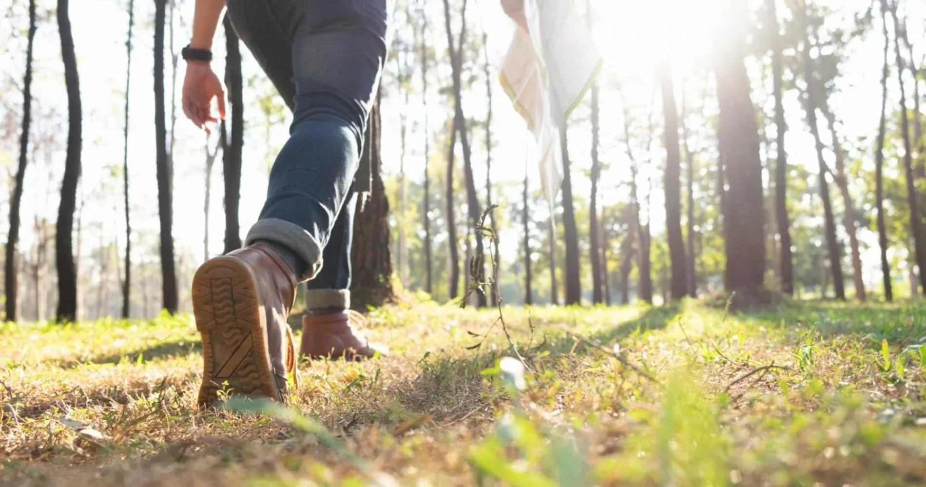 Hiking in Brukshotellet Skinnsberg