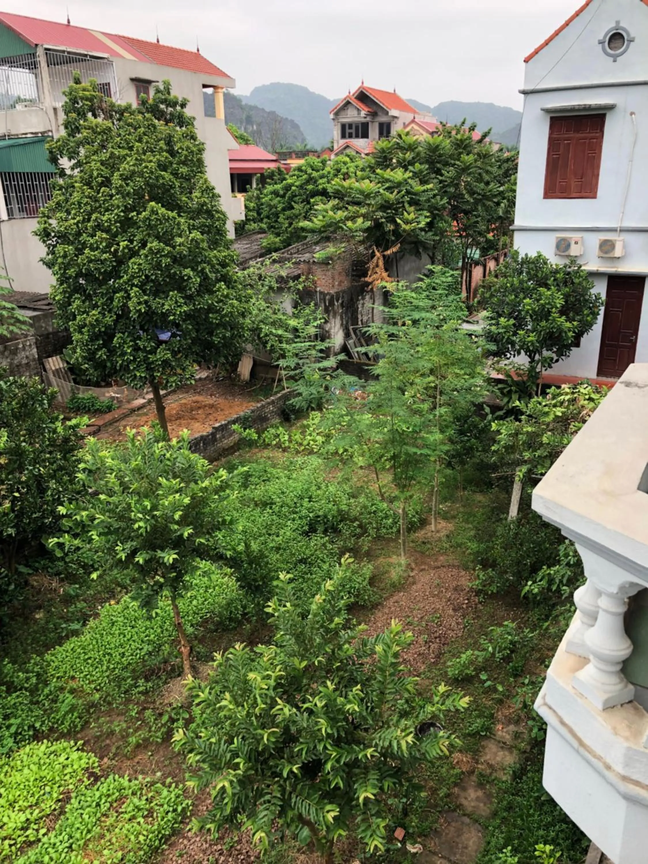 Off site in Tam Coc - Thành Homestay