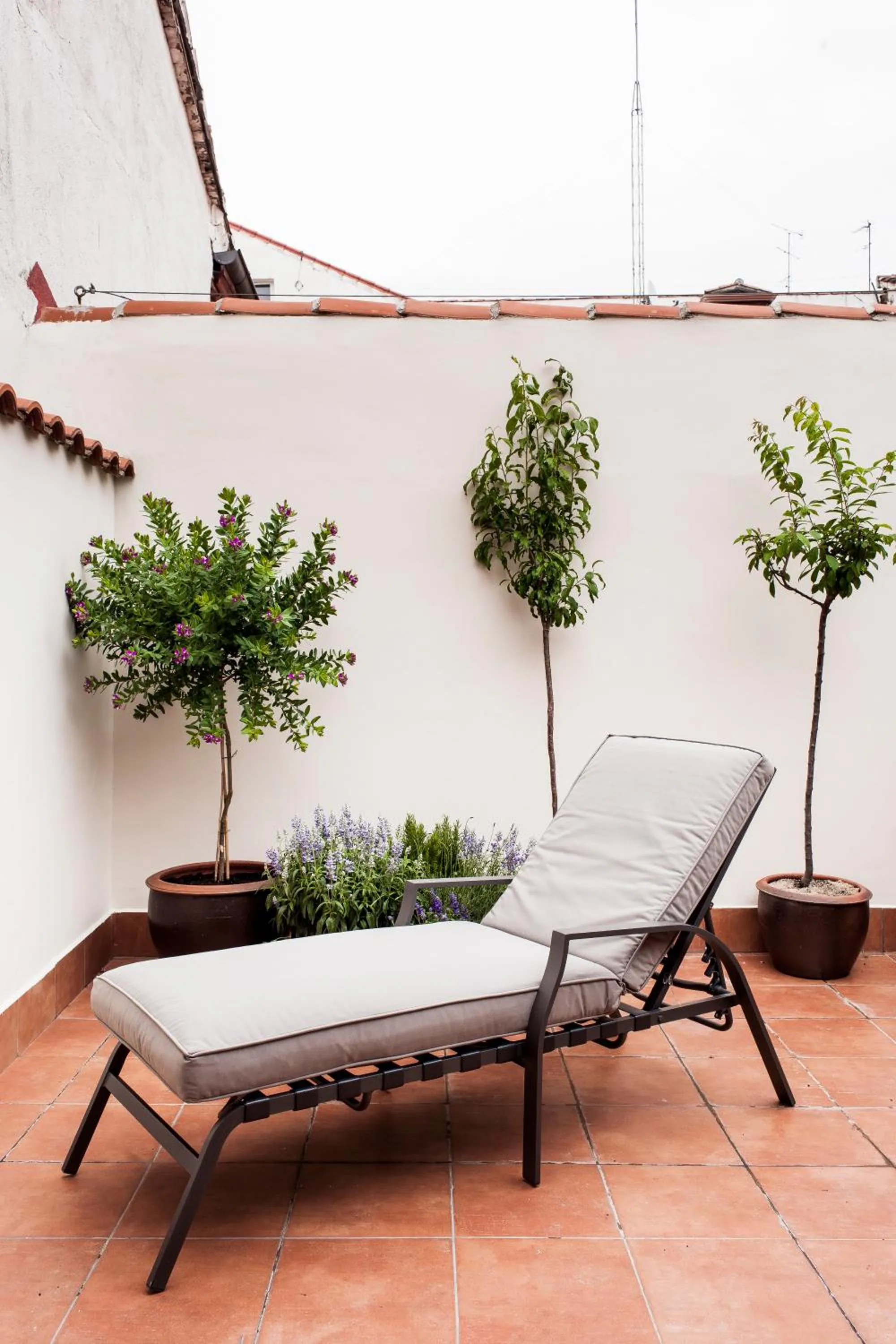 Patio in Mante House - Malasaña Design