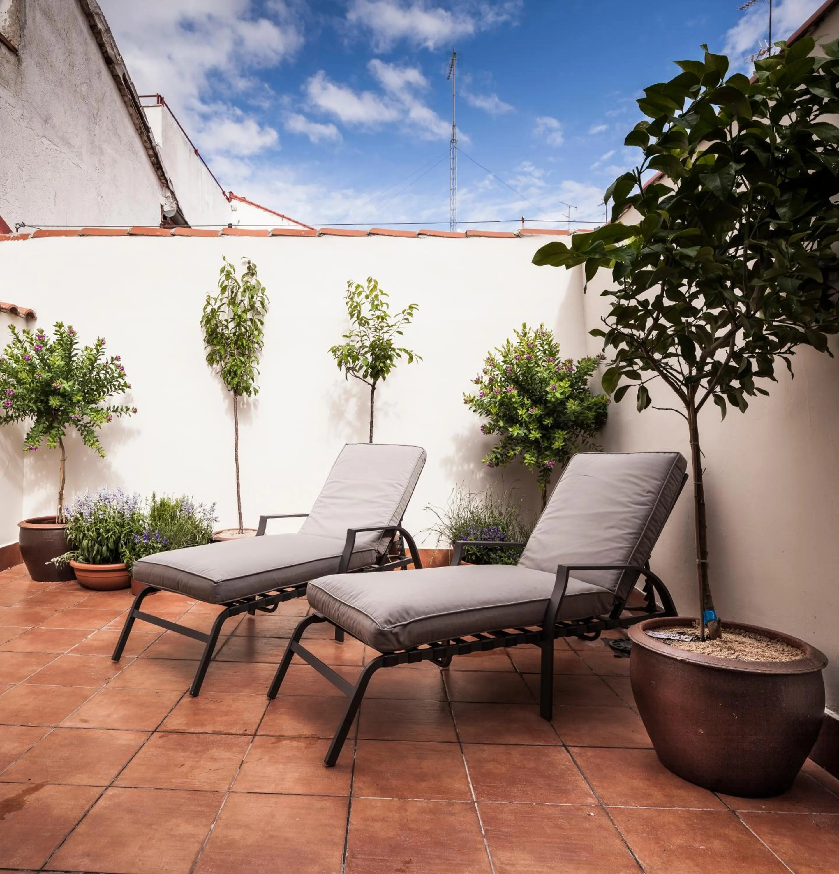 Balcony/Terrace in Mante House - Malasaña Design