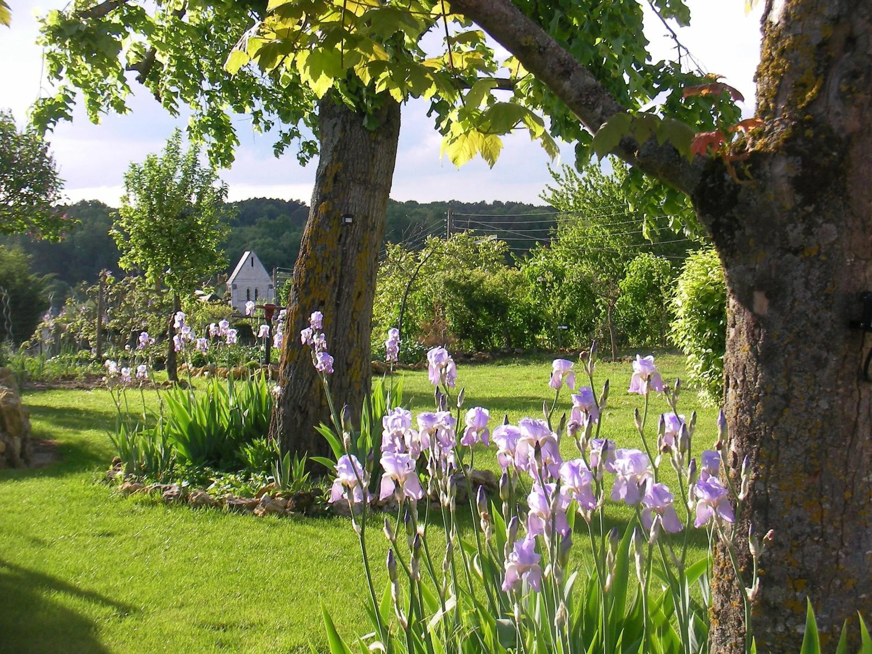 Spring in Chambres d'Hôtes La Vallée des Vignes