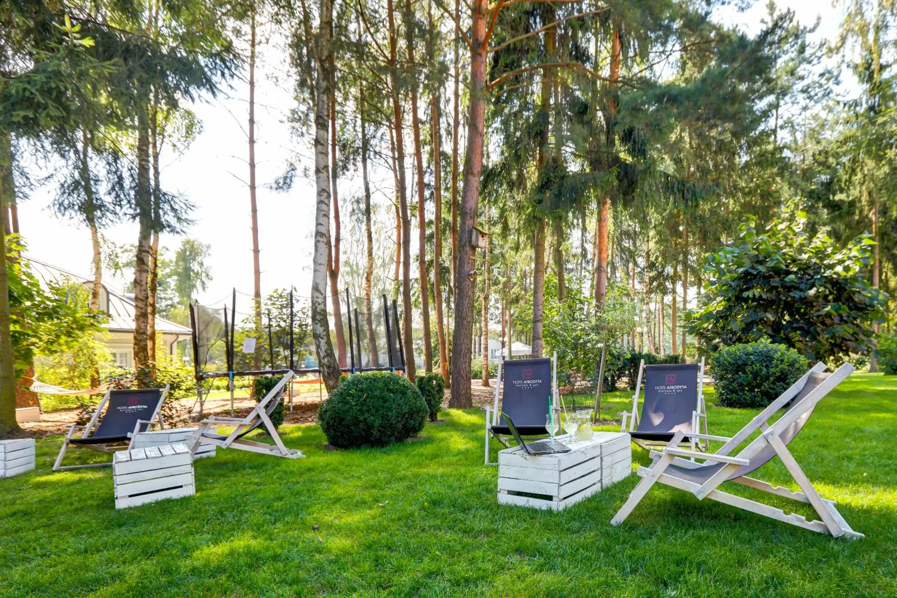 Natural landscape in Hotel Afrodyta Business & Spa