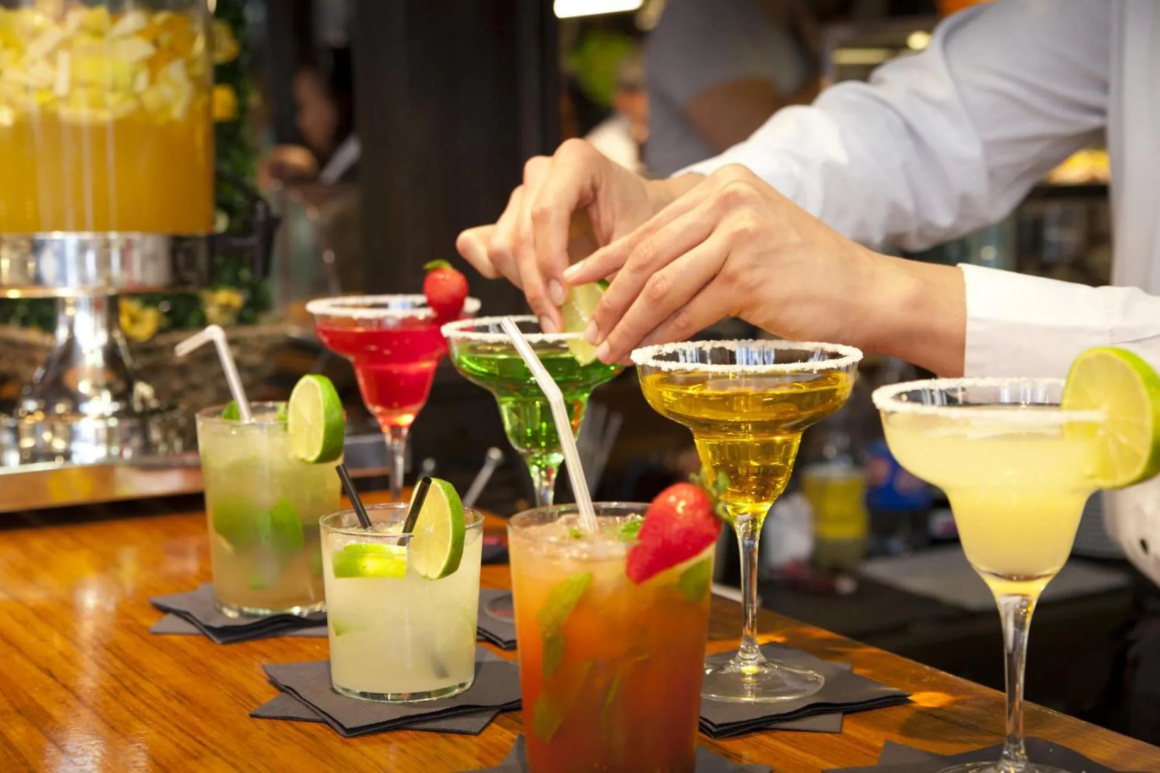 Nightclub / DJ in Hotel Afrodyta Business & Spa