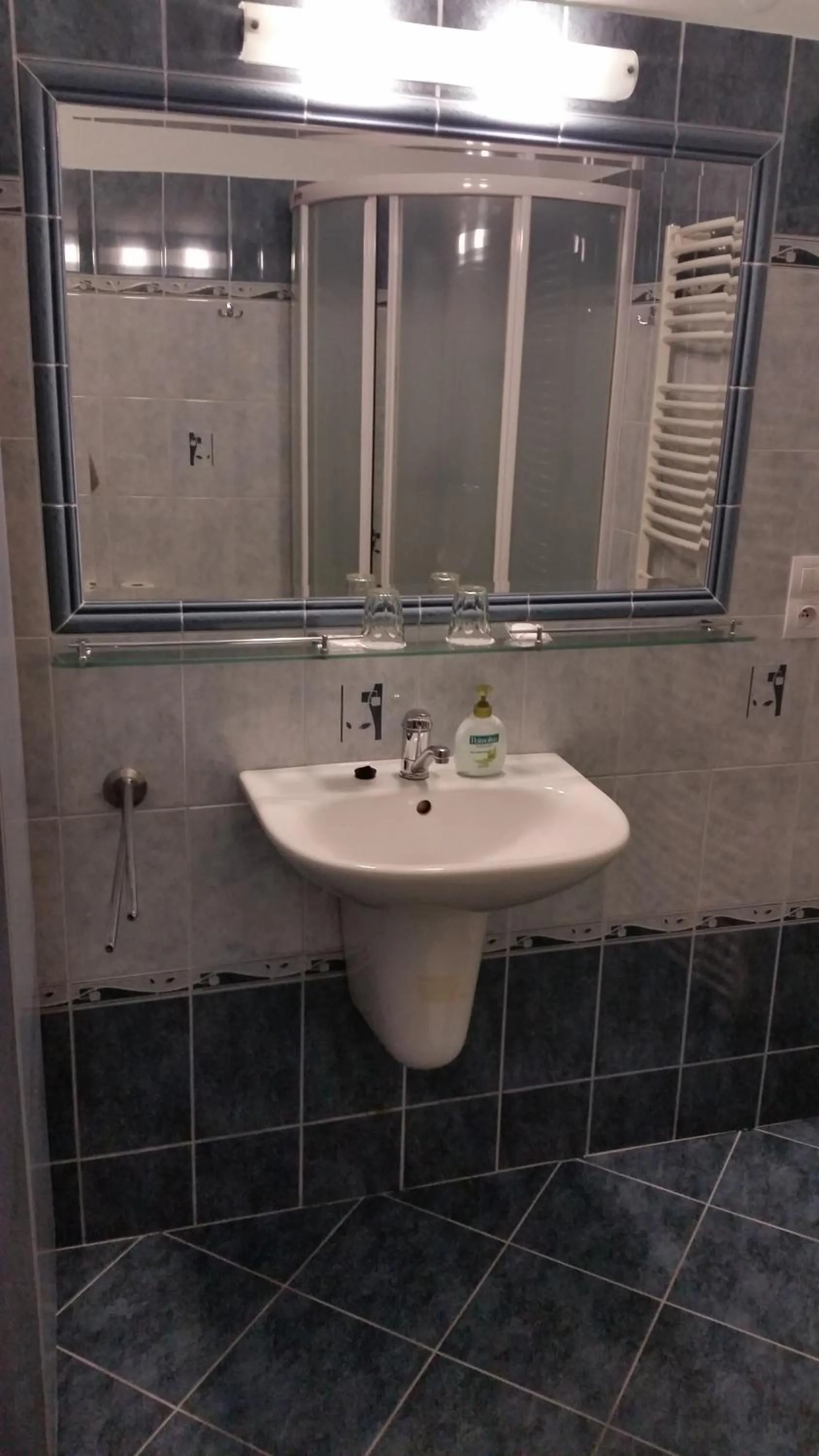 Bathroom in Penzión Zlatý Jeleň