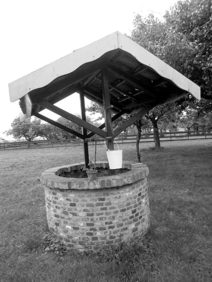 Garden in Shepherds House B&B