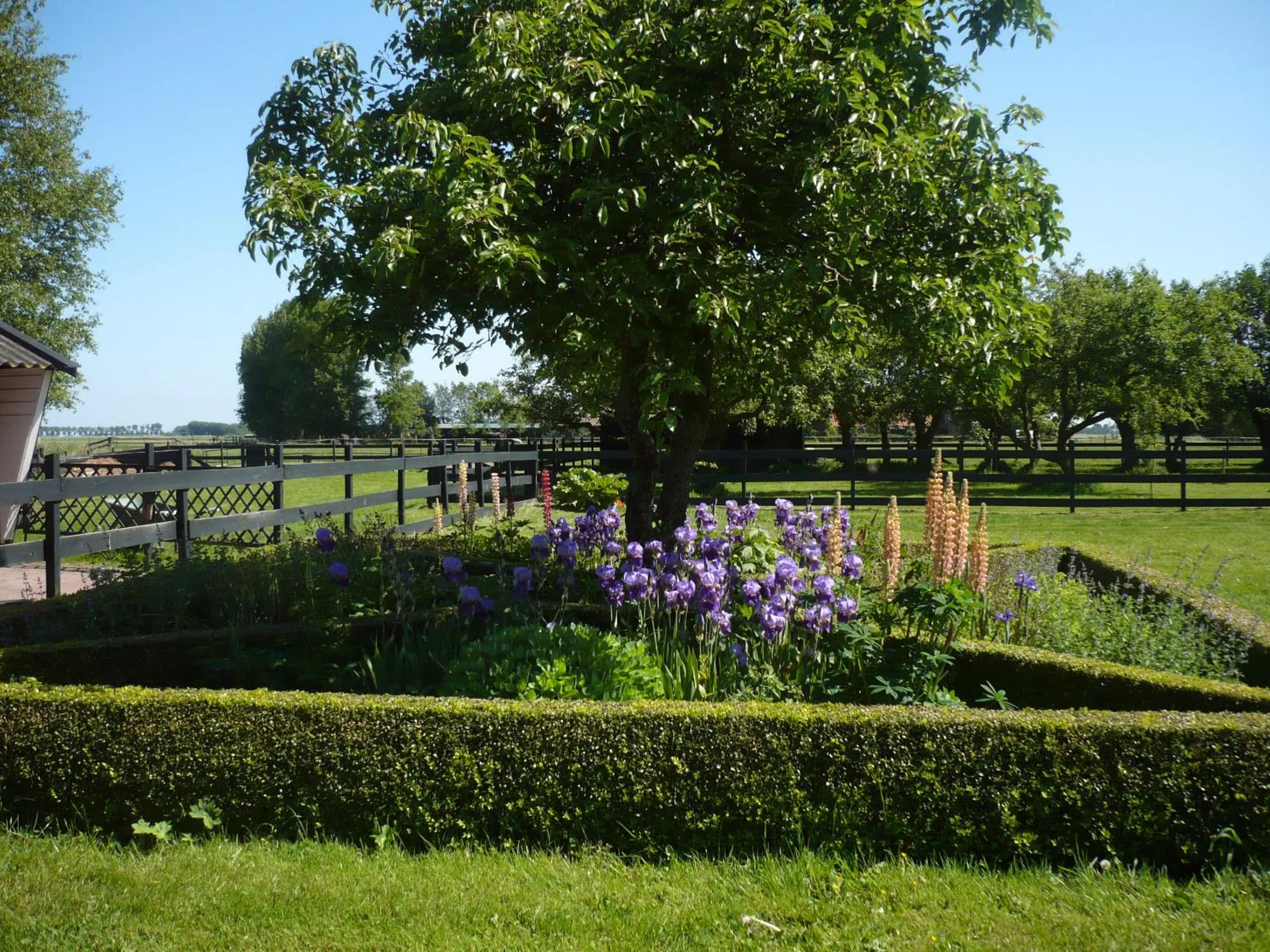 Garden in Shepherds House B&B
