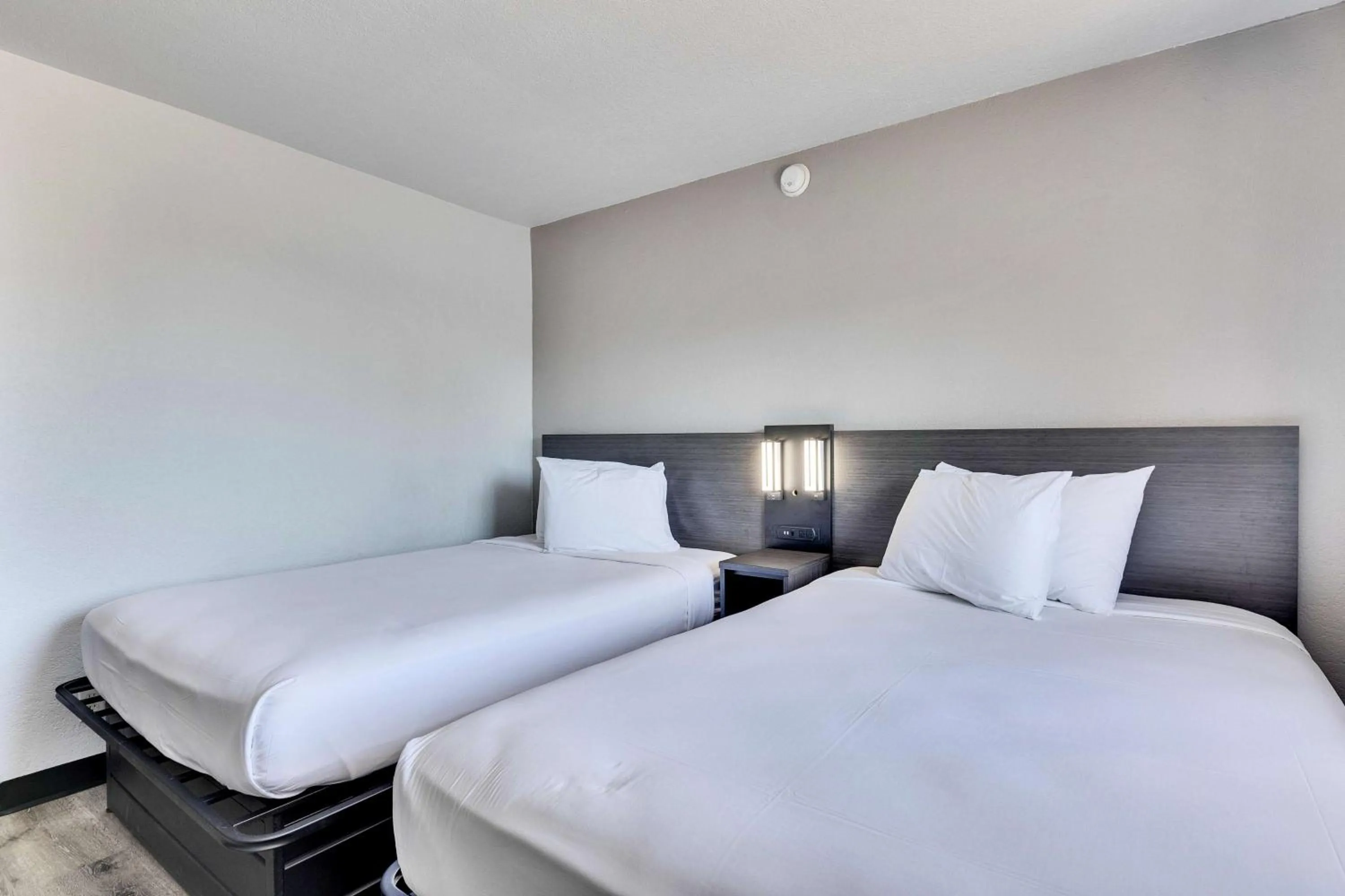 Bedroom, Bed in Motel 6-Austin, TX - Airport - South