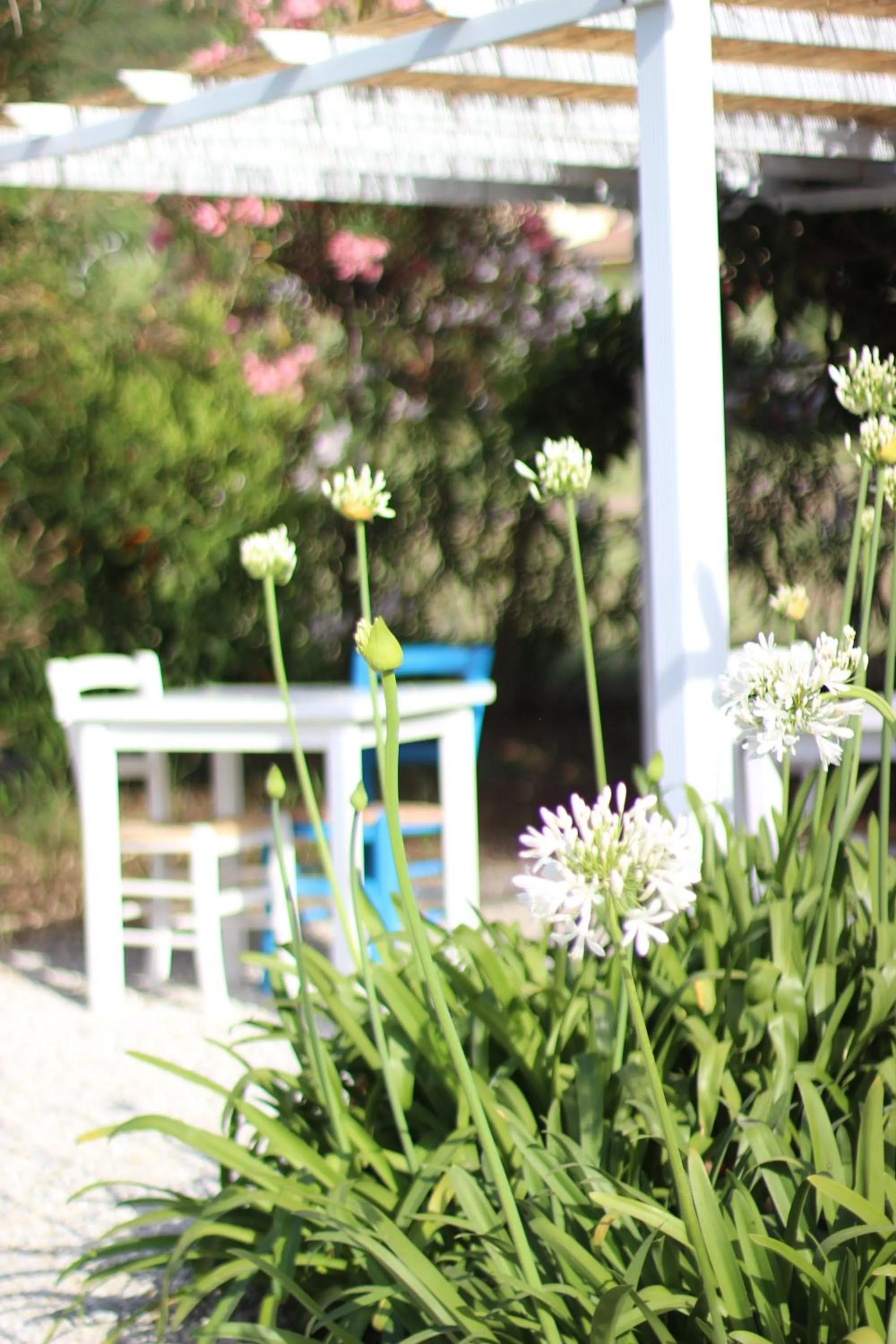 Garden in Il Borghetto Resort & Spa