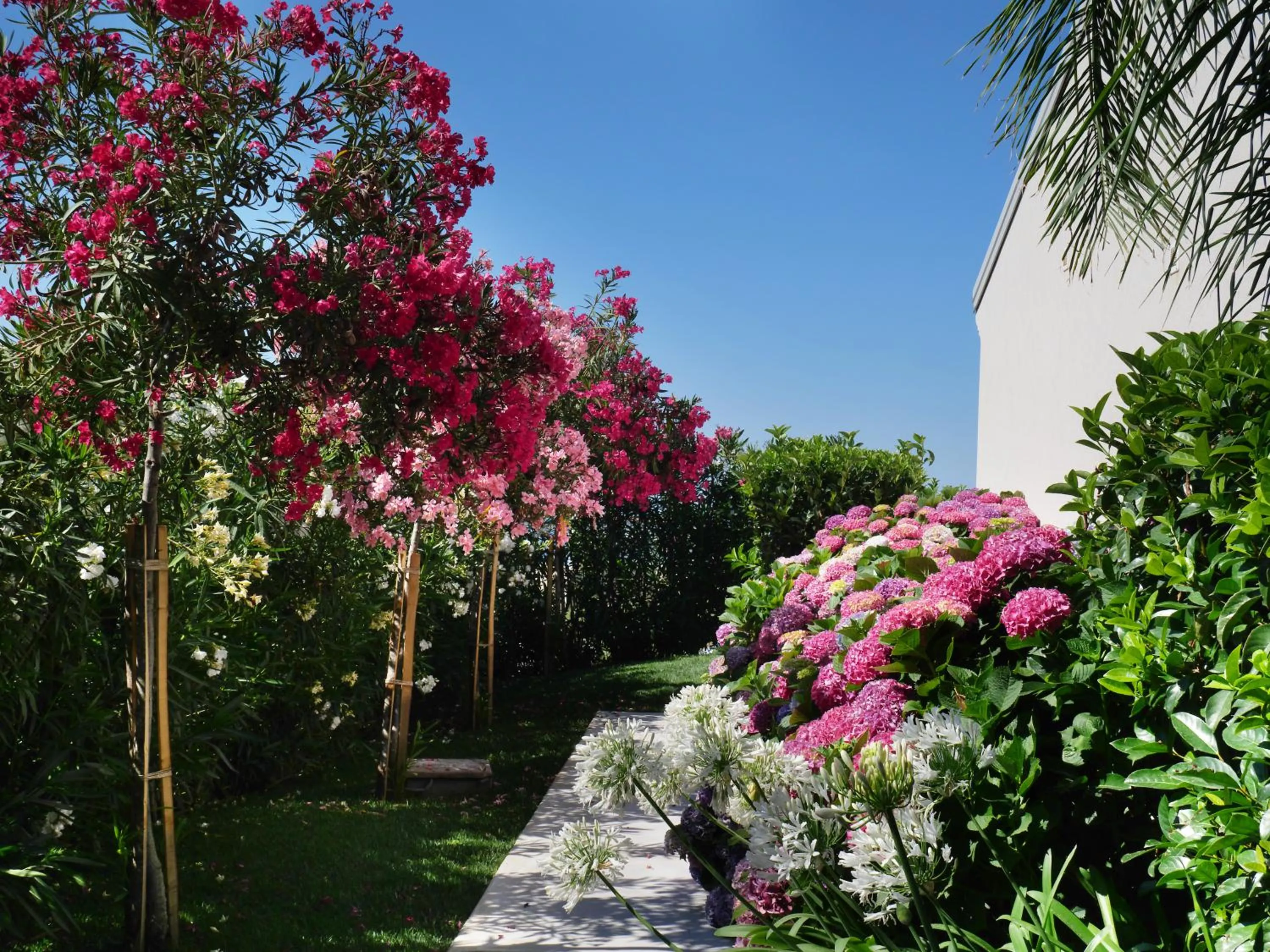 Garden in Il Borghetto Resort & Spa
