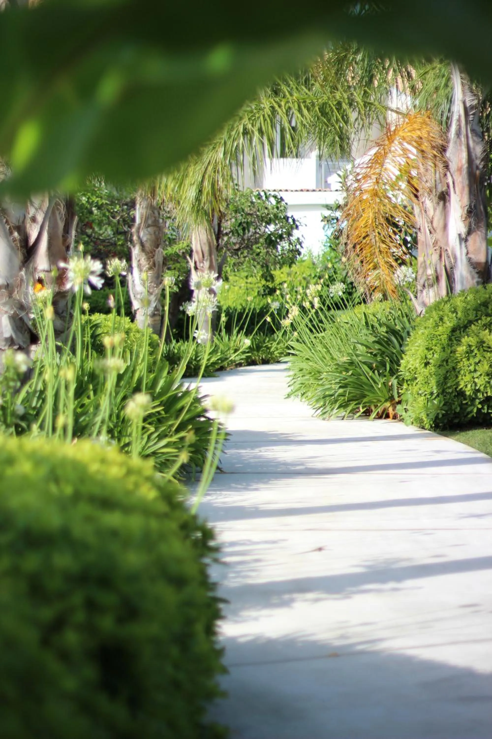 Garden view in Il Borghetto Resort & Spa