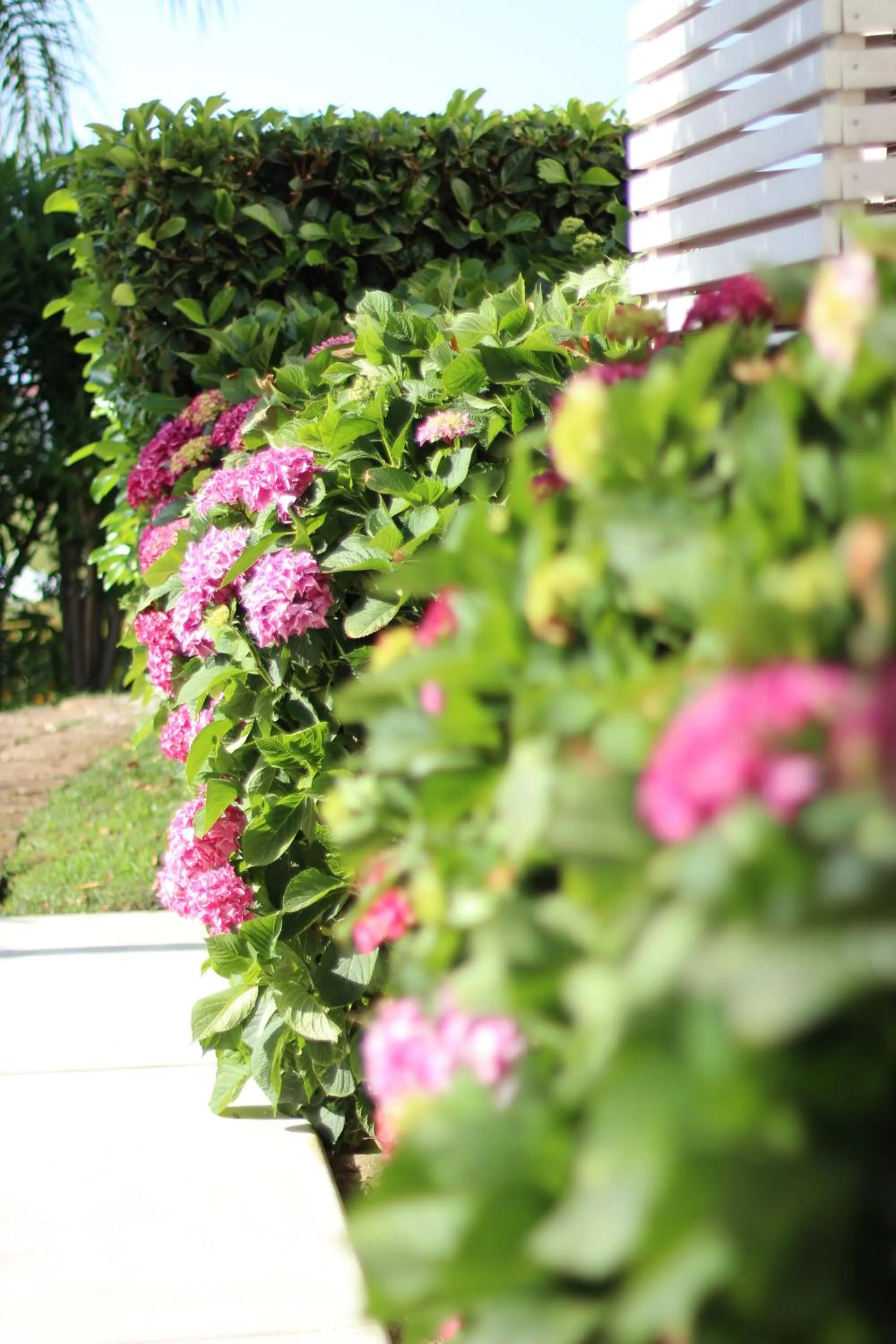 Garden in Il Borghetto Resort & Spa