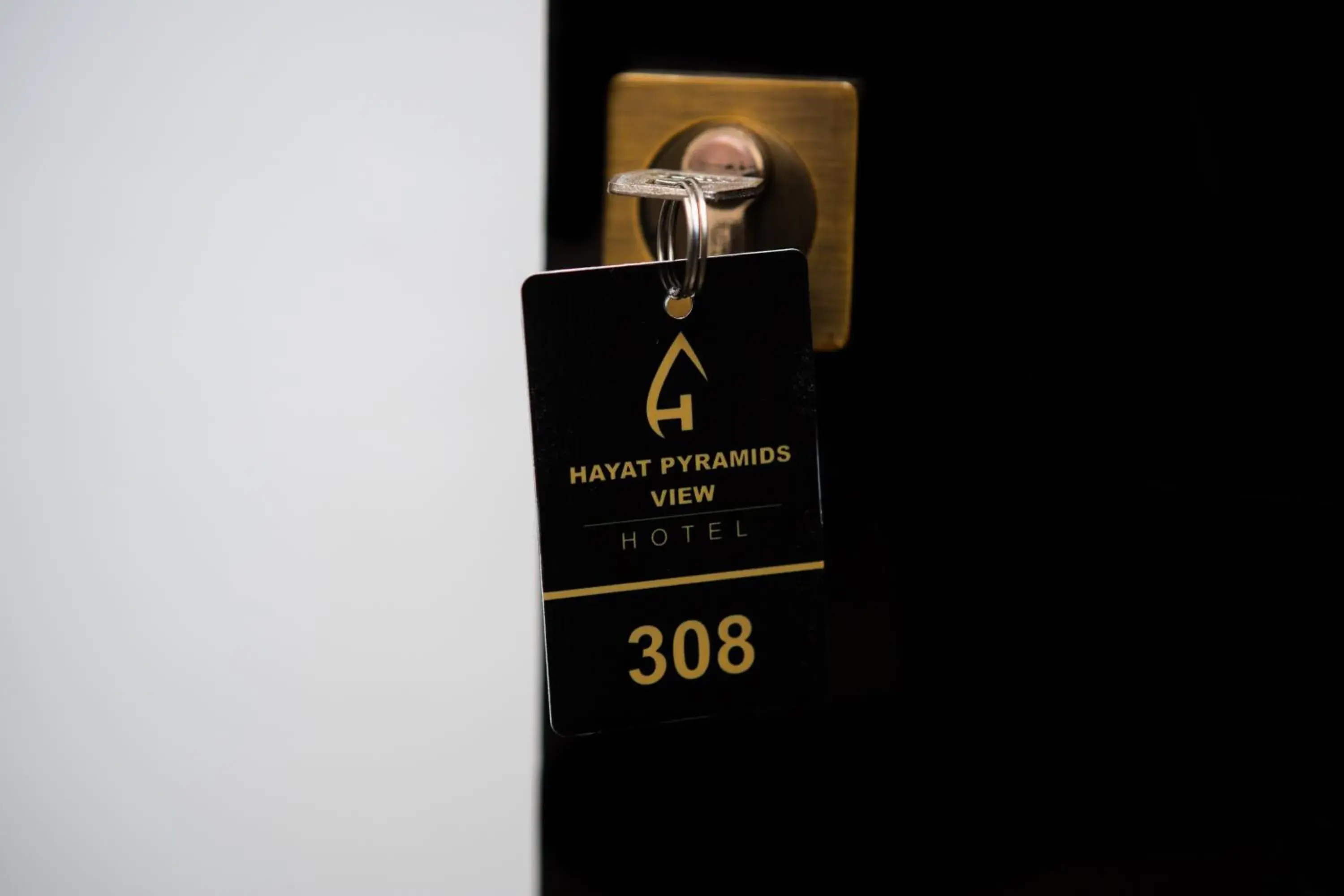 Deluxe Double Room in Hayat Pyramids View Hotel Deluxe Double Room in Hayat Pyramids View Hotel