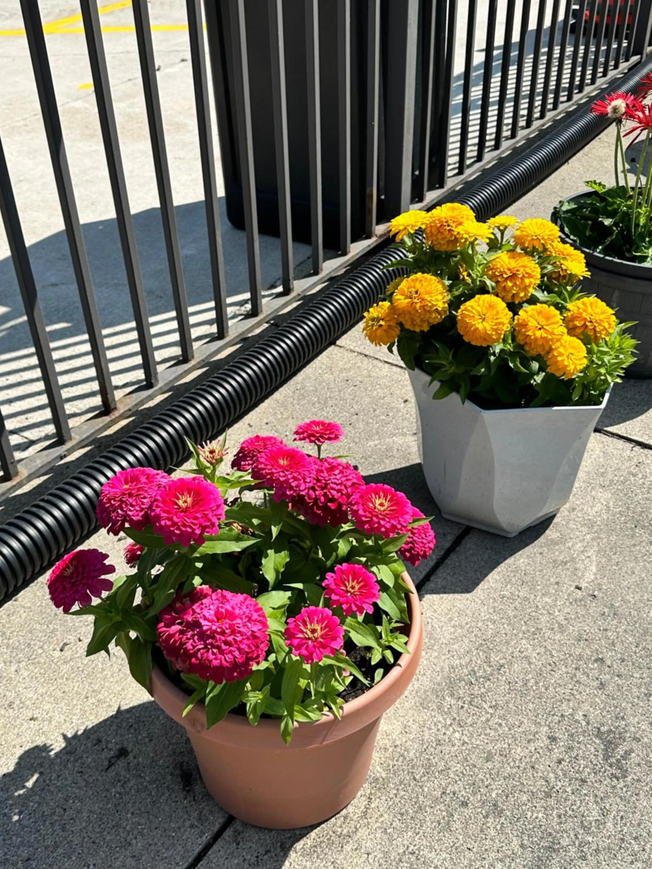 View (from property/room) in Motel 6-Fort Wayne, IN