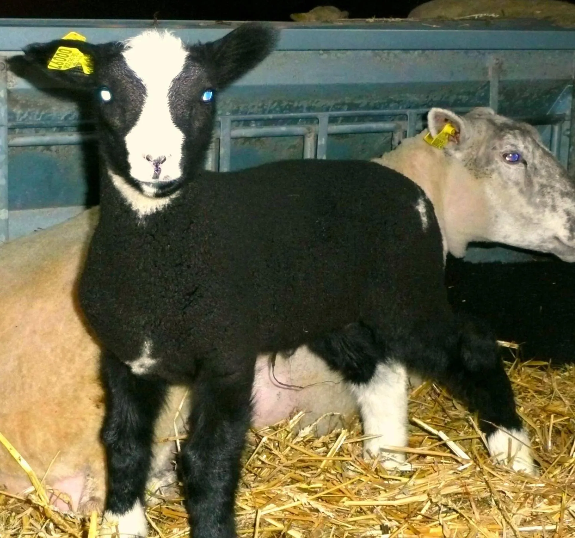 Kullens Bed and Breakfast