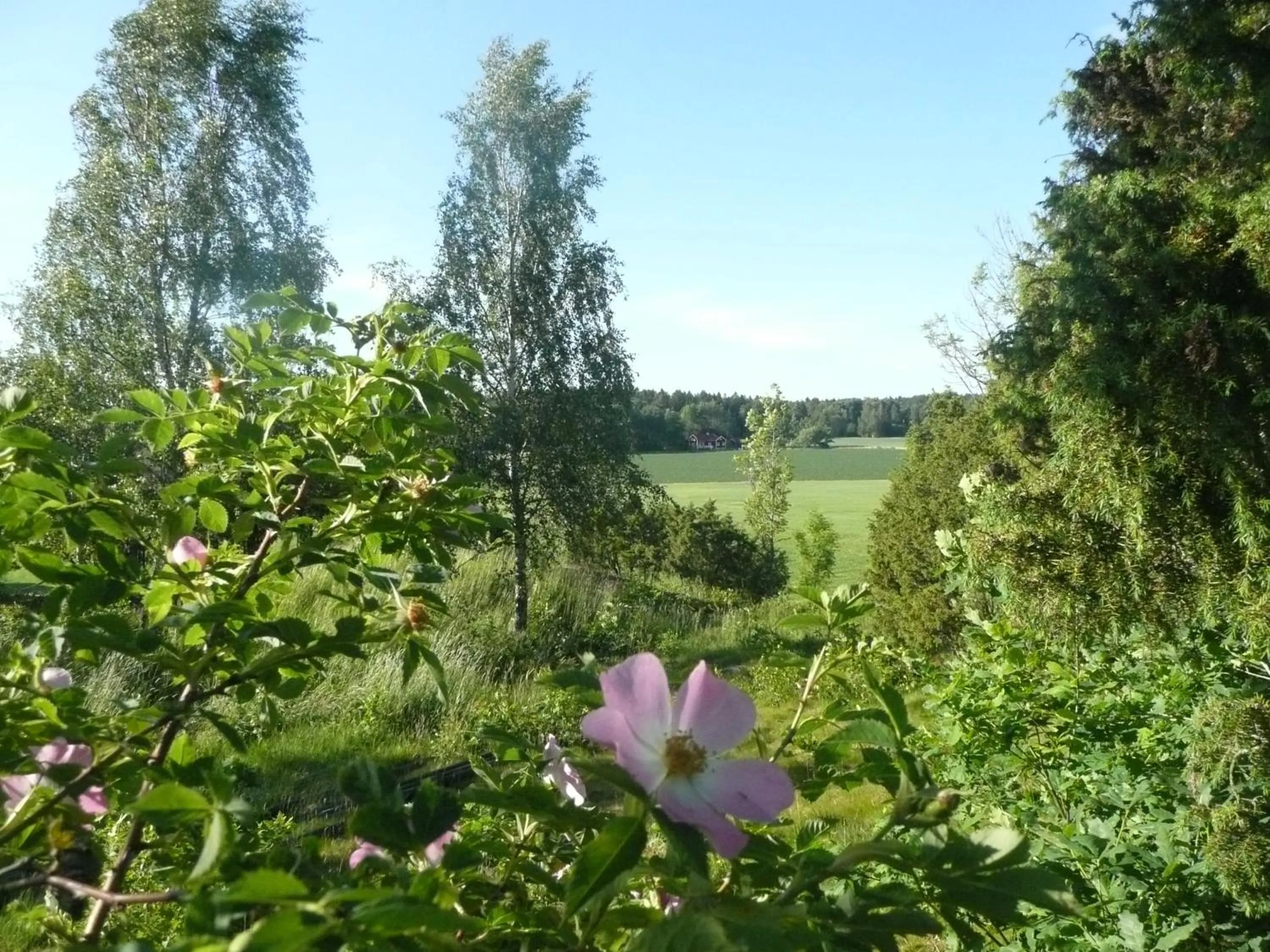 Natural landscape in Kullens Bed and Breakfast