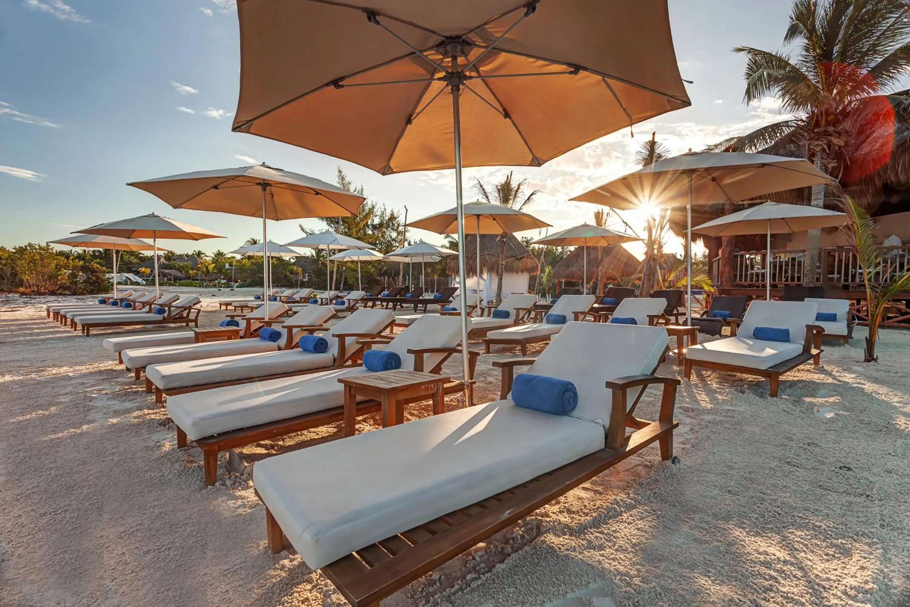 Beach in Mystique Holbox by Royalton, A Tribute Portfolio Resort