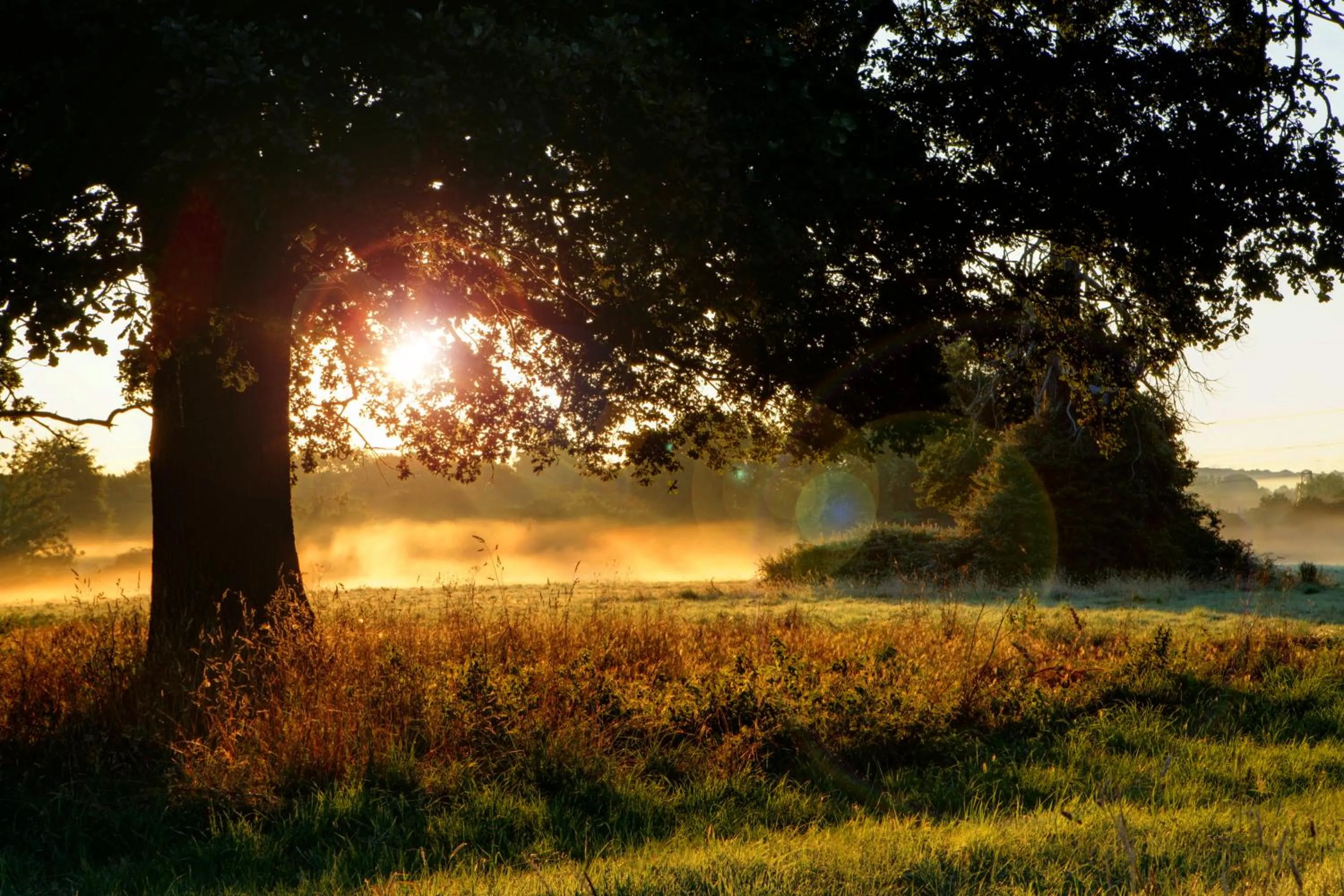 Day in Pontlands Park Hotel