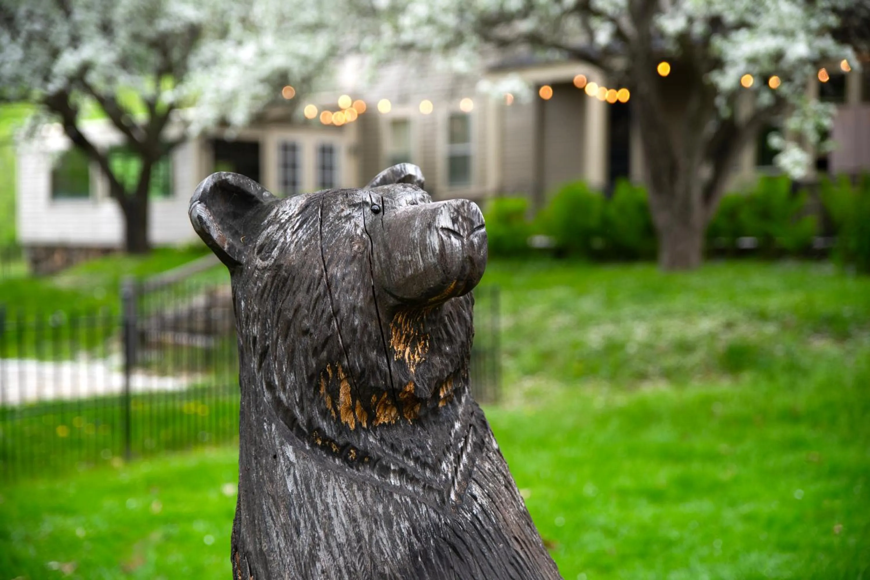 Property building in Whitneys Inn at Black Mountain