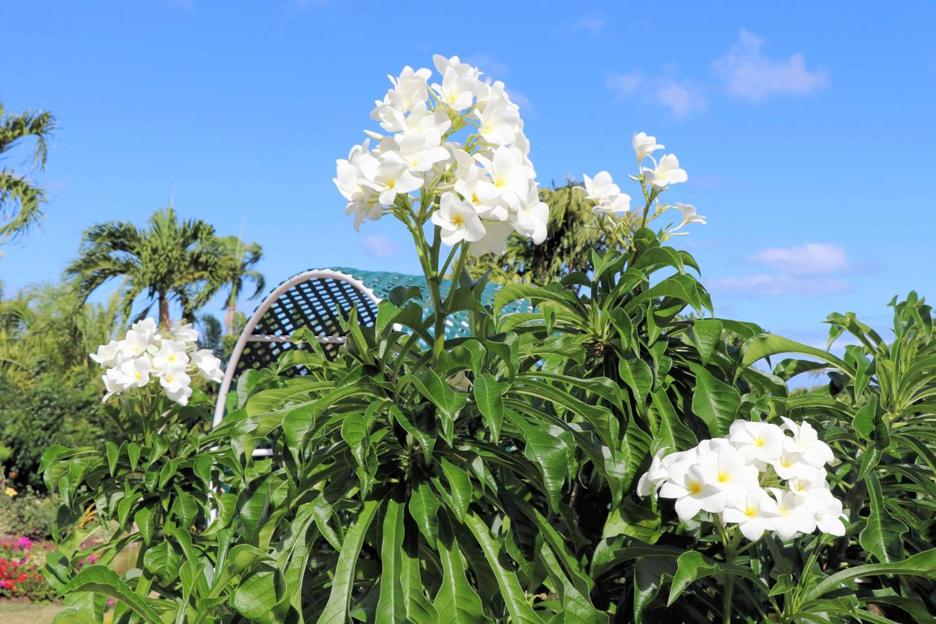 Property building in Siesta Hotel
